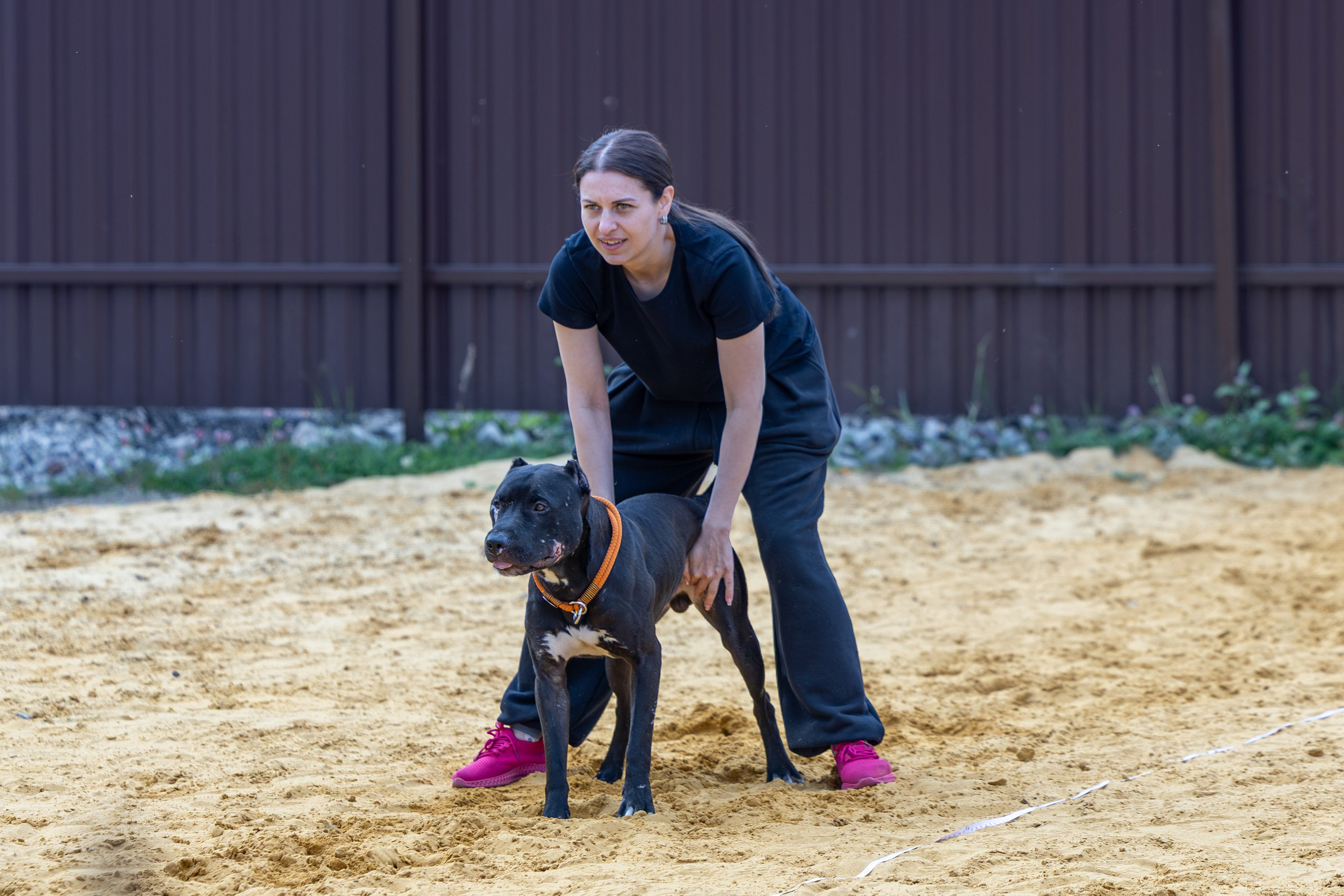 Jump'n'Gym. Виктория Михайловская. Фотограф-анималист. Москва