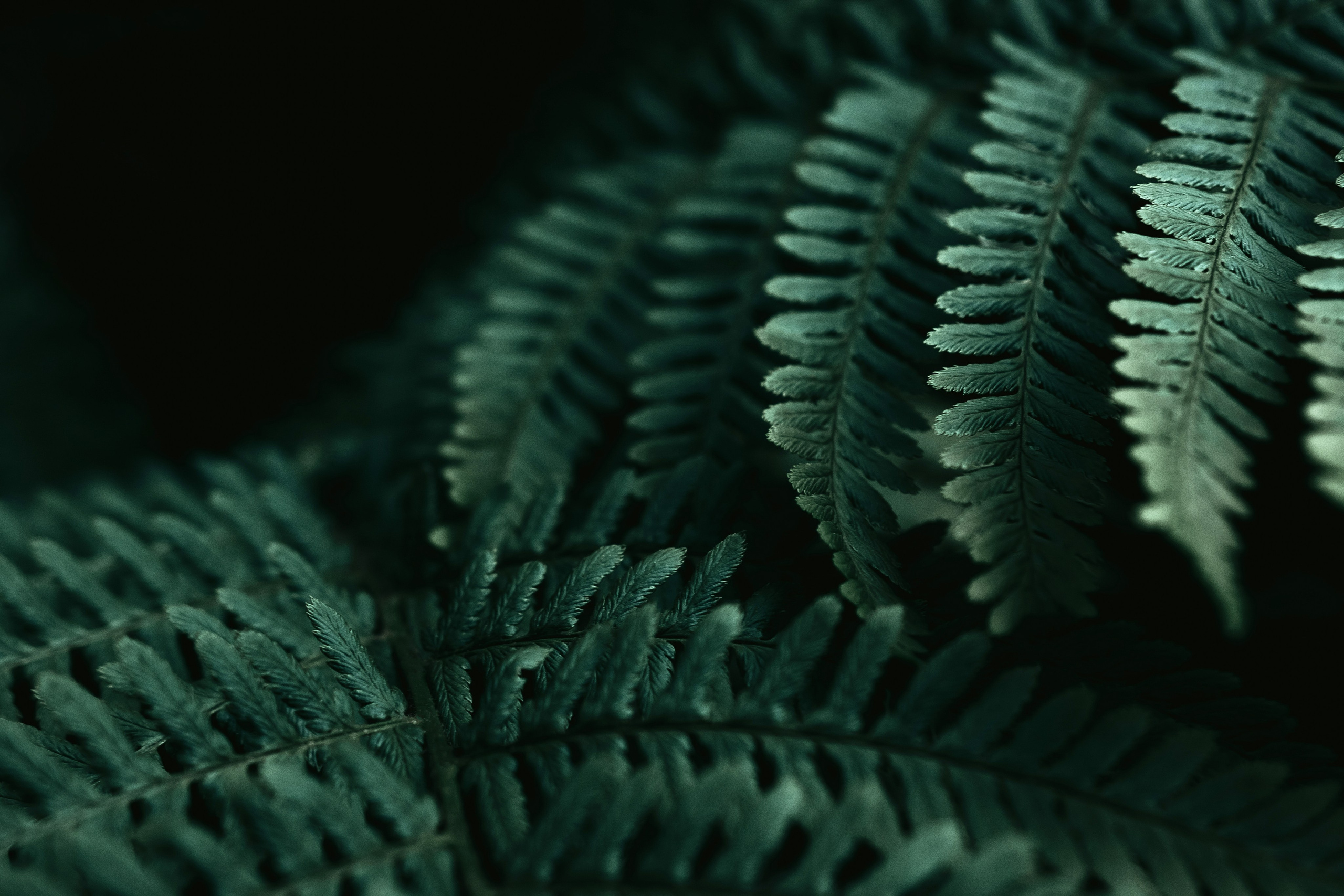 Жизнь. Фотограф Алматы | Весь мир — Никита Колодин