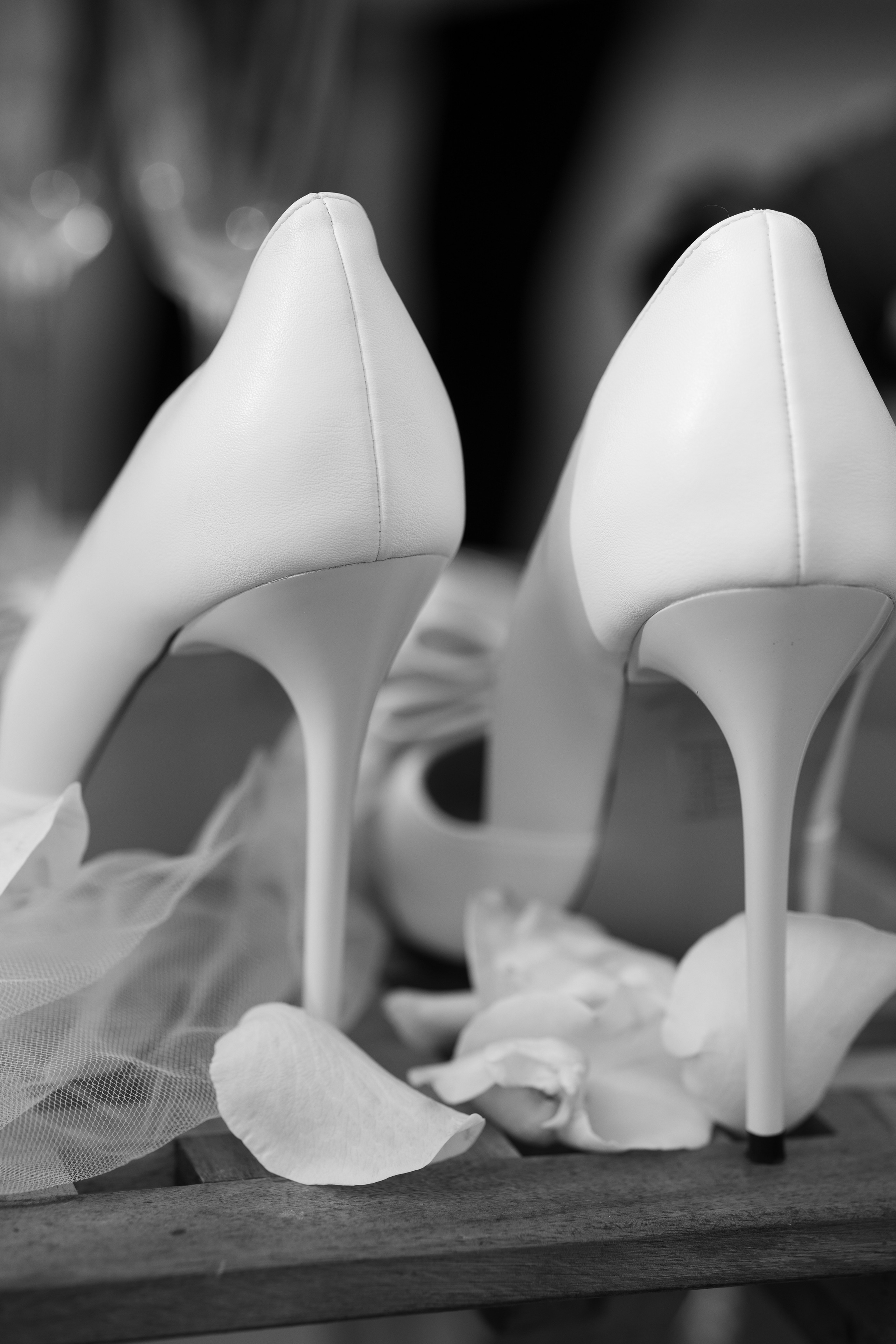 Эллина и Артем. Женский и семейный фотограф Светлана