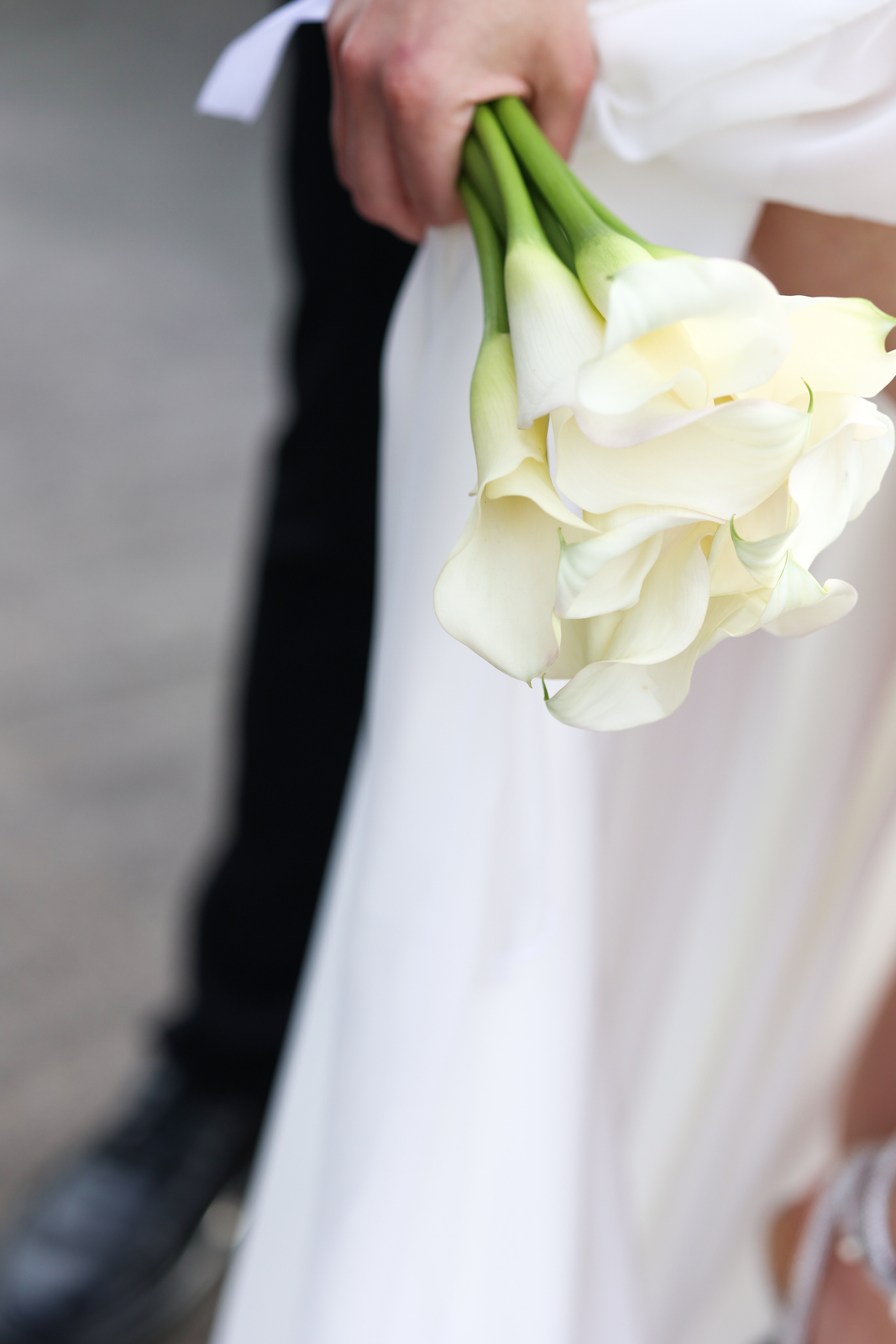 Эллина и Артем. Женский и семейный фотограф Светлана