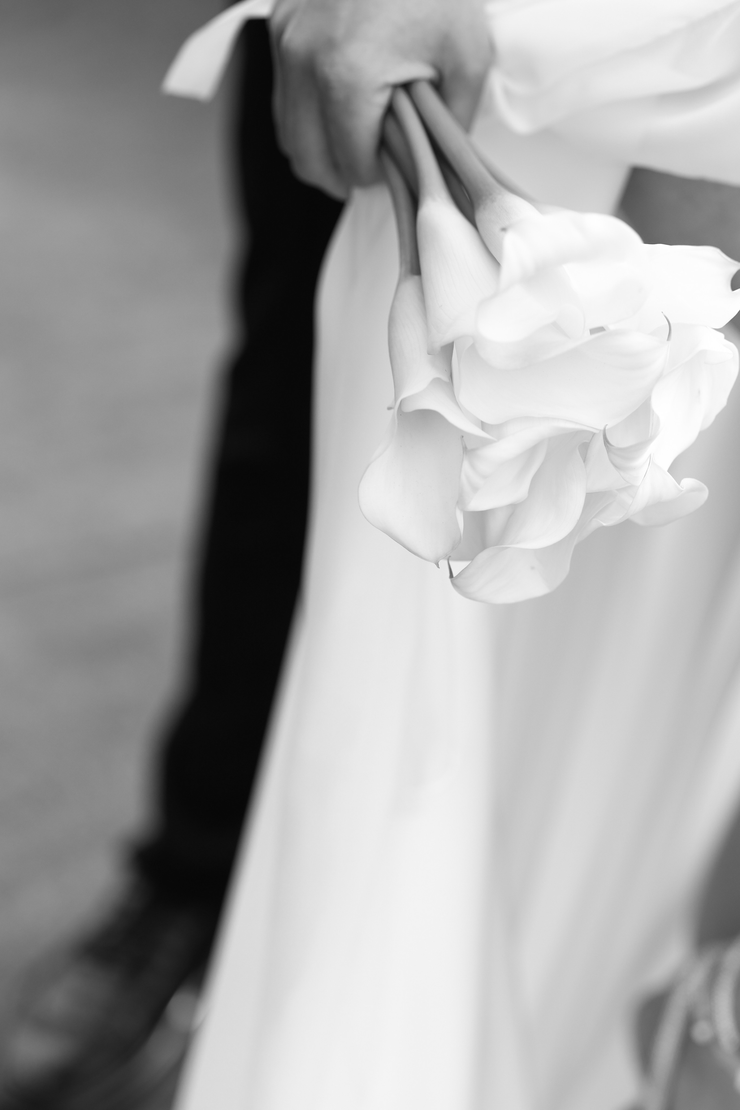 Эллина и Артем. Женский и семейный фотограф Светлана