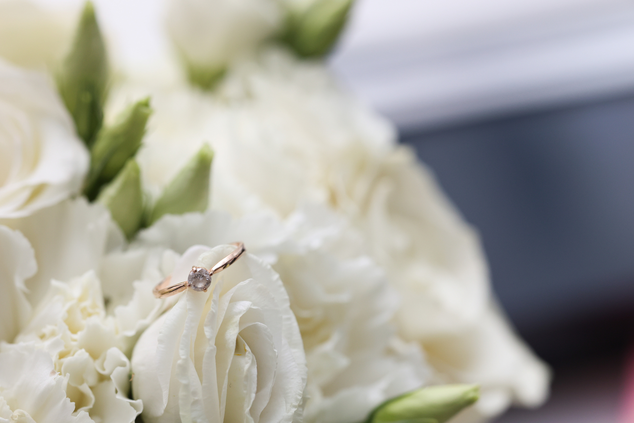 Анастасия и Роман. Женский и семейный фотограф Светлана