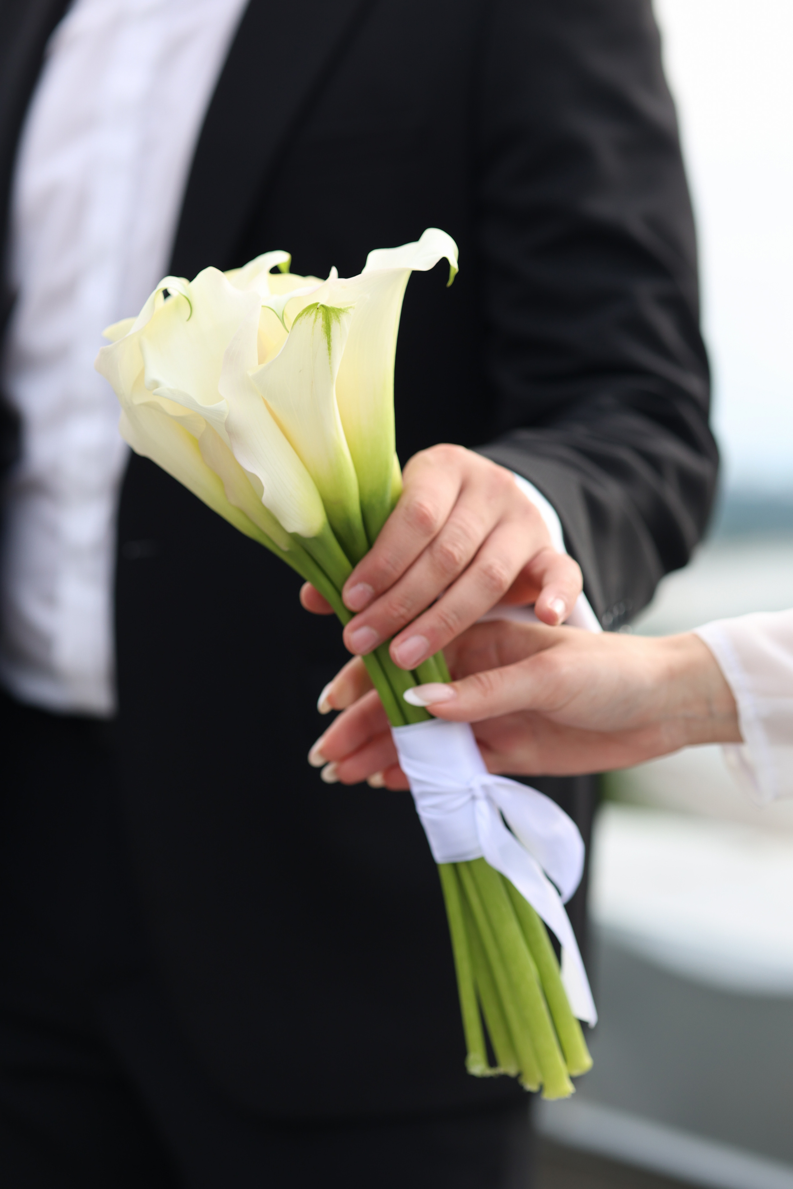 Эллина и Артем. Женский и семейный фотограф Светлана