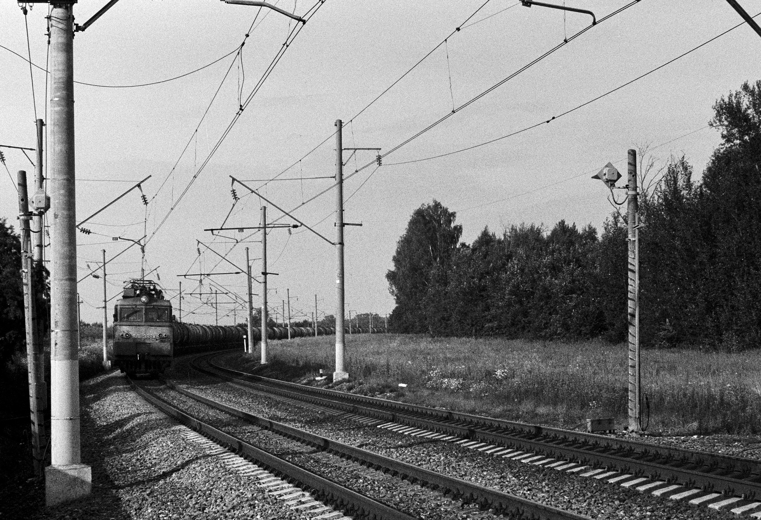 Пленочная фотография в Москве