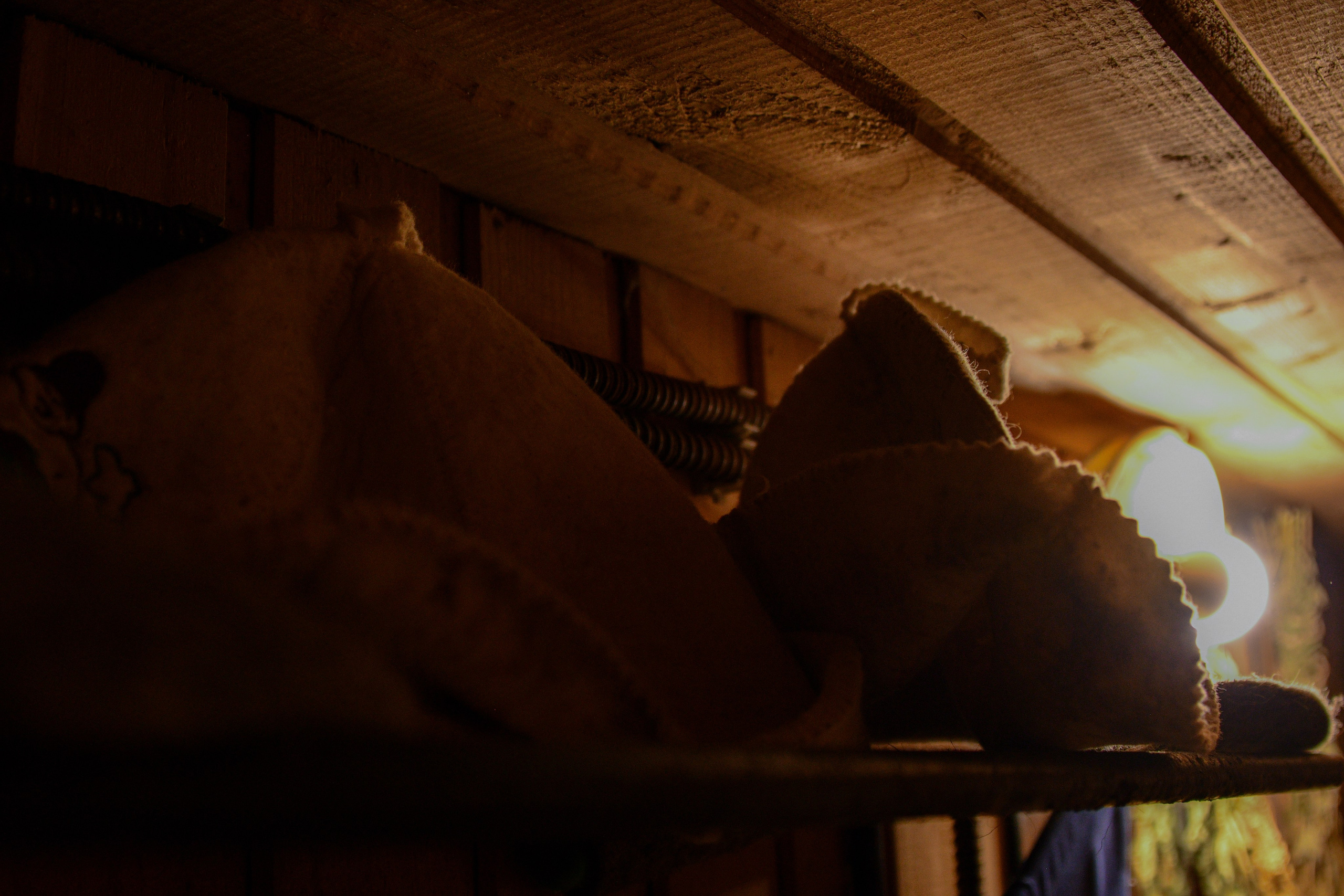 Контент-съемка для Инны. Фотограф в Санкт-Петербурге Ксения Яковчук