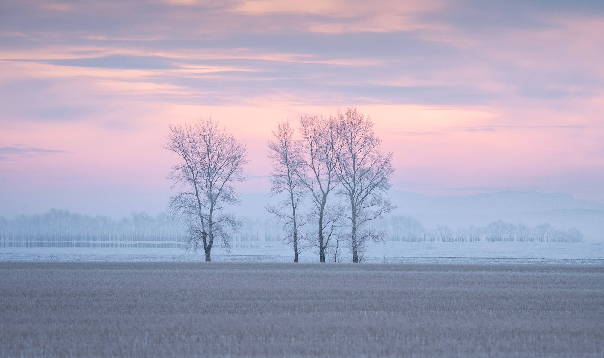 Состояния природы. Профессиональный пейзажный фотограф Алёна Рубан