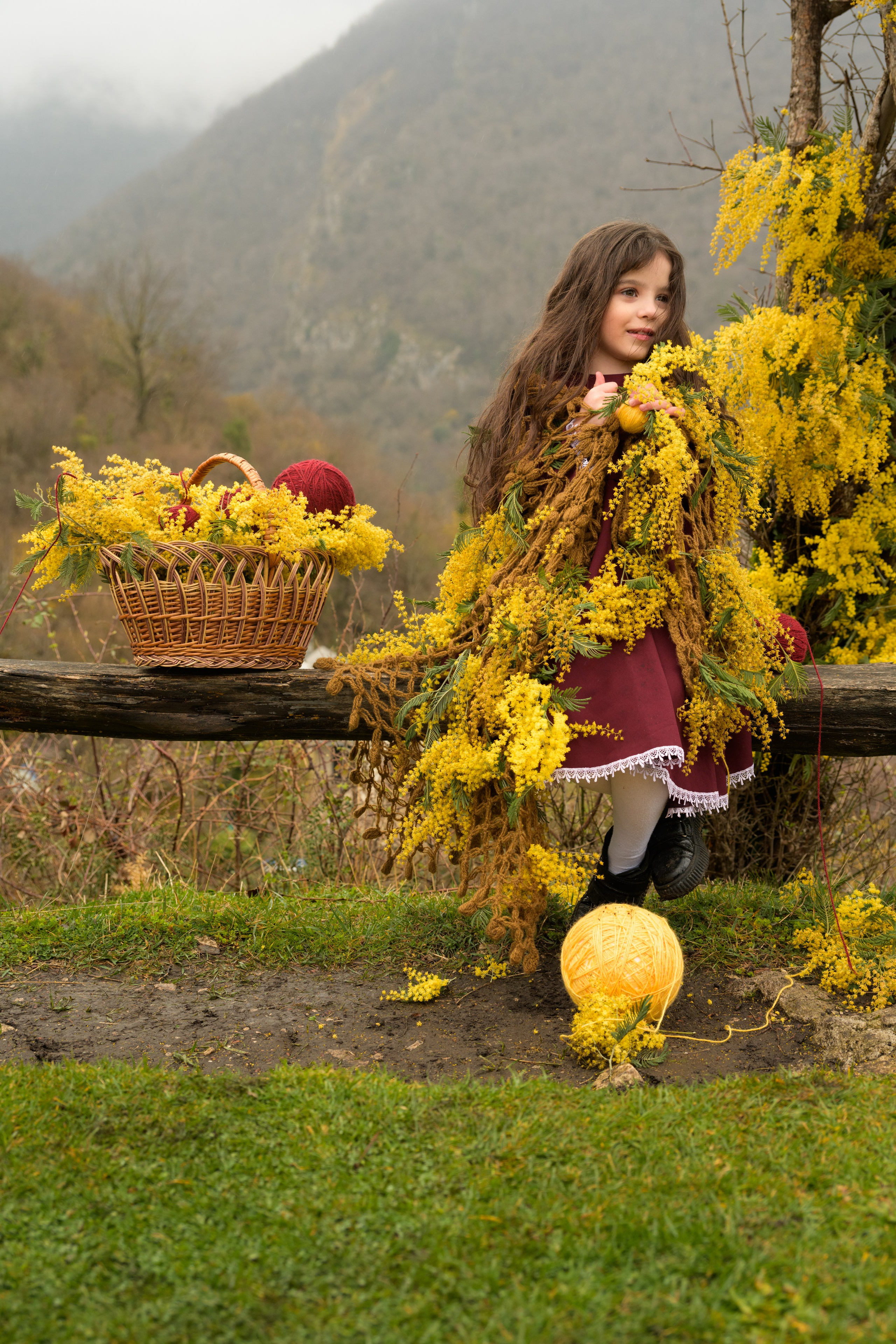 Фотосессия с мимозой