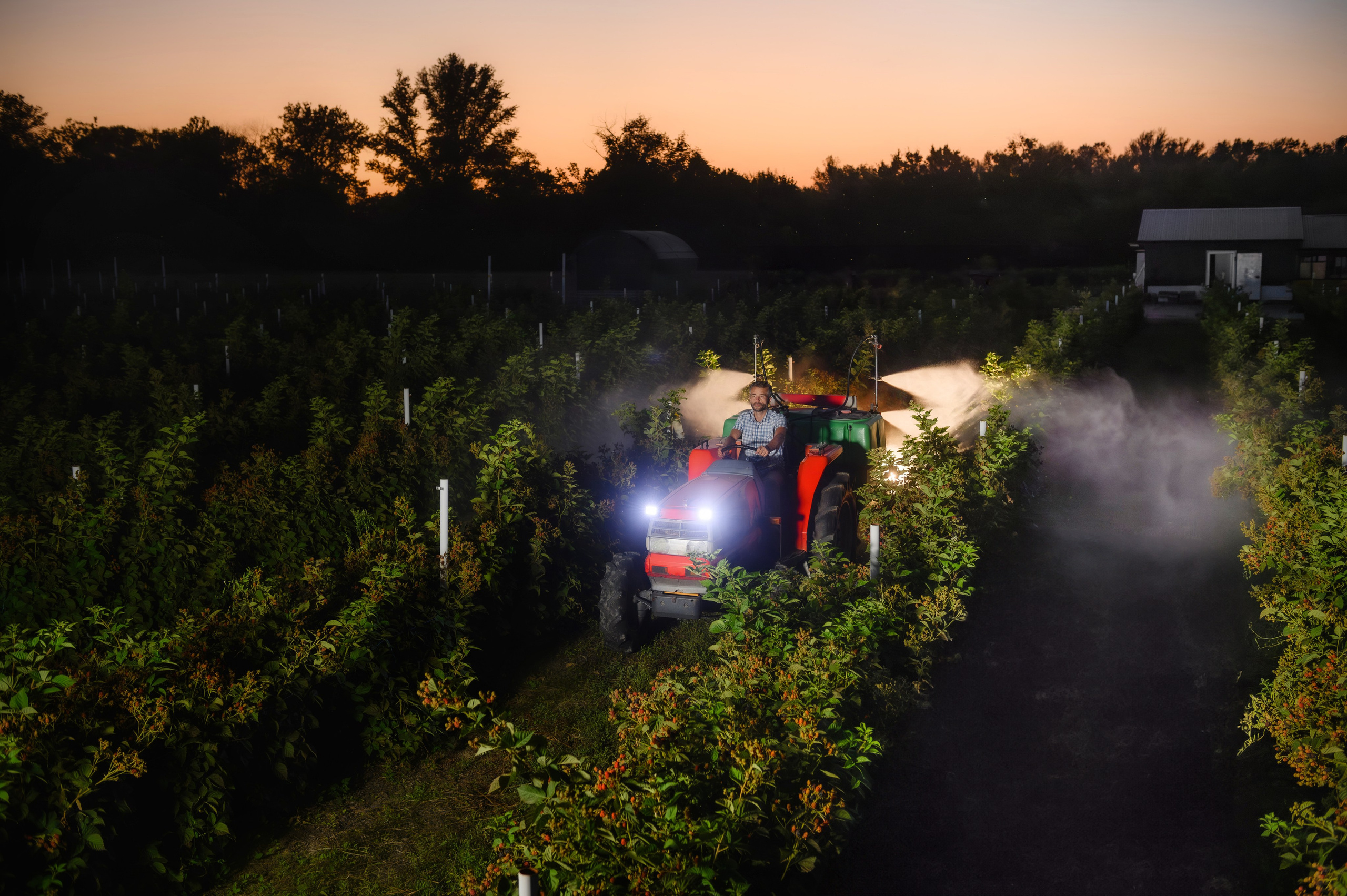 Проекты. Профессиональный фотограф Вячеслав Плацында | Липецк |