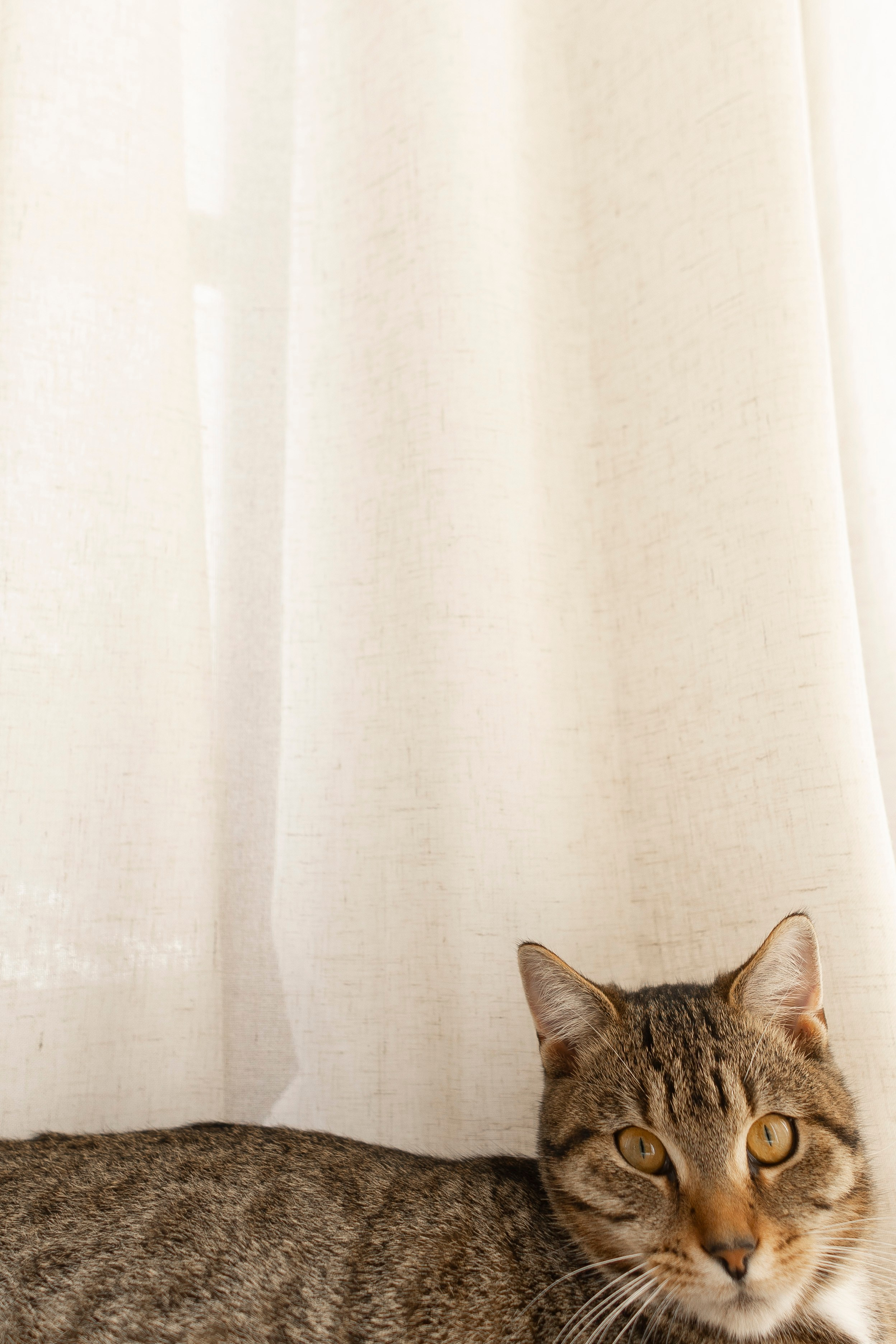 2 цветка. Фотограф Антон Горин