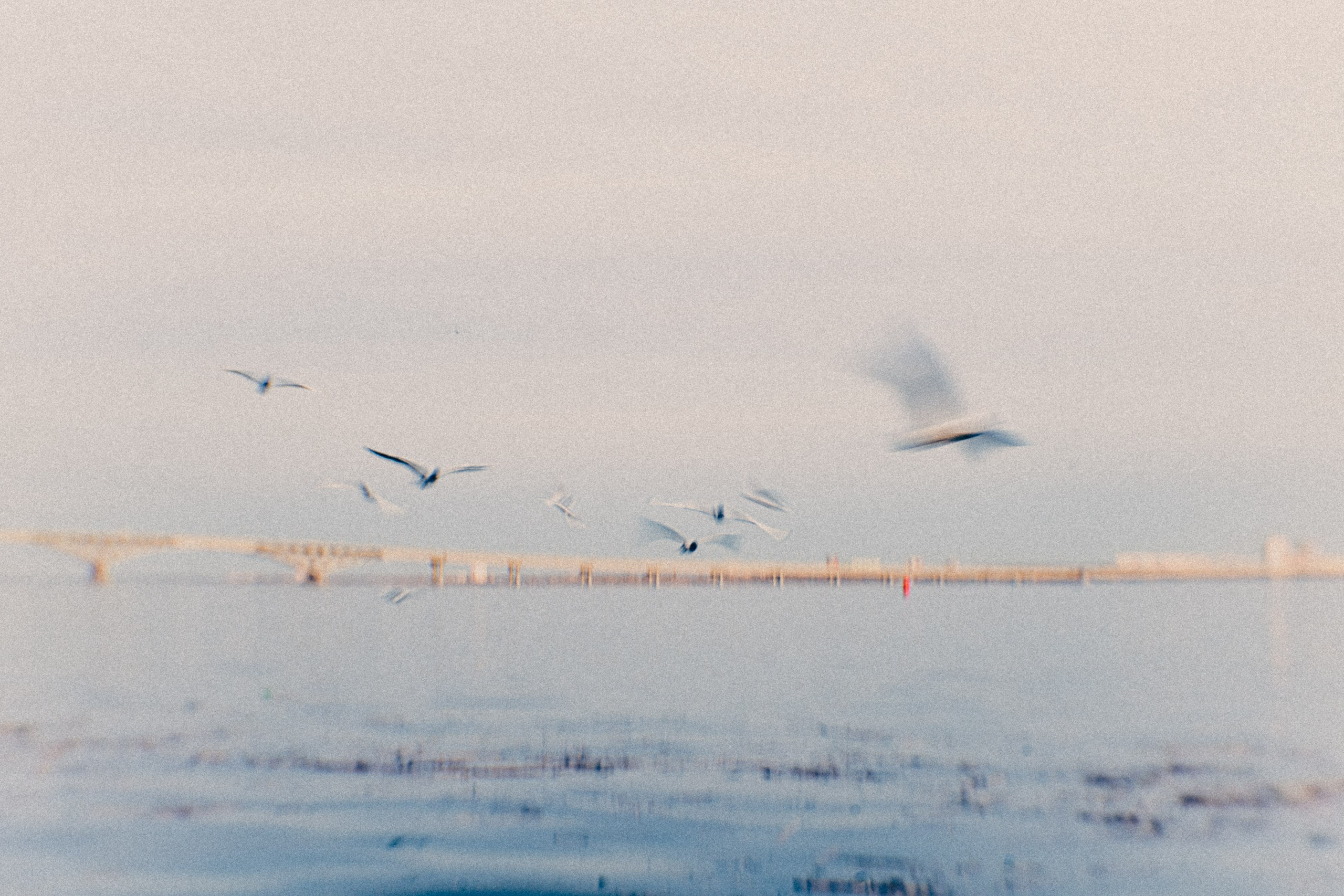 Цветный фото Саратова. Фотограф * Вячеслав Скоробогатов * Визульный Артист