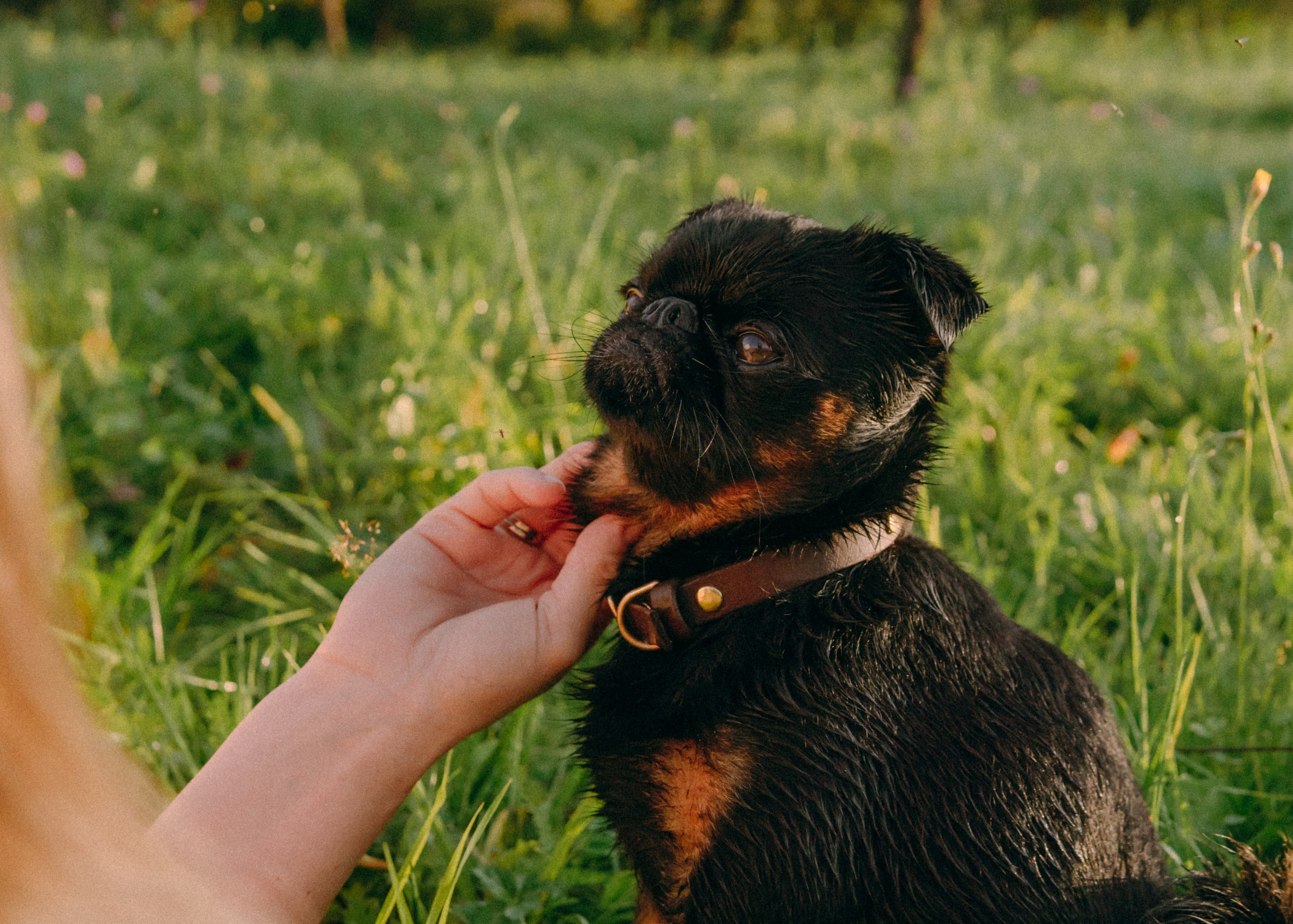 Оксана, Кирилл и Кеша. Фотограф-анималист Ксения Воробьева, Москва