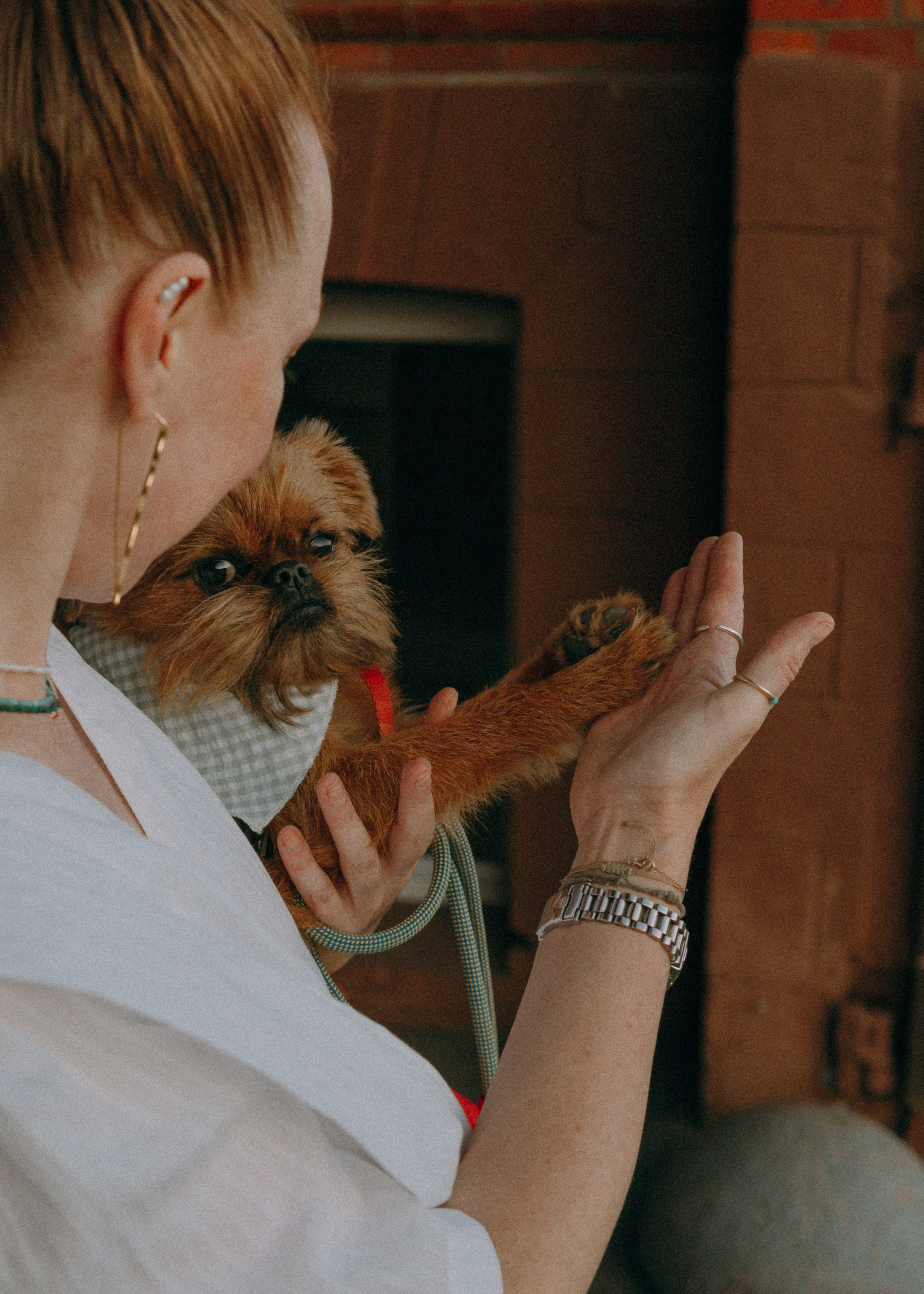 Лена и Альфи. Фотограф-анималист Ксения Воробьева, Москва