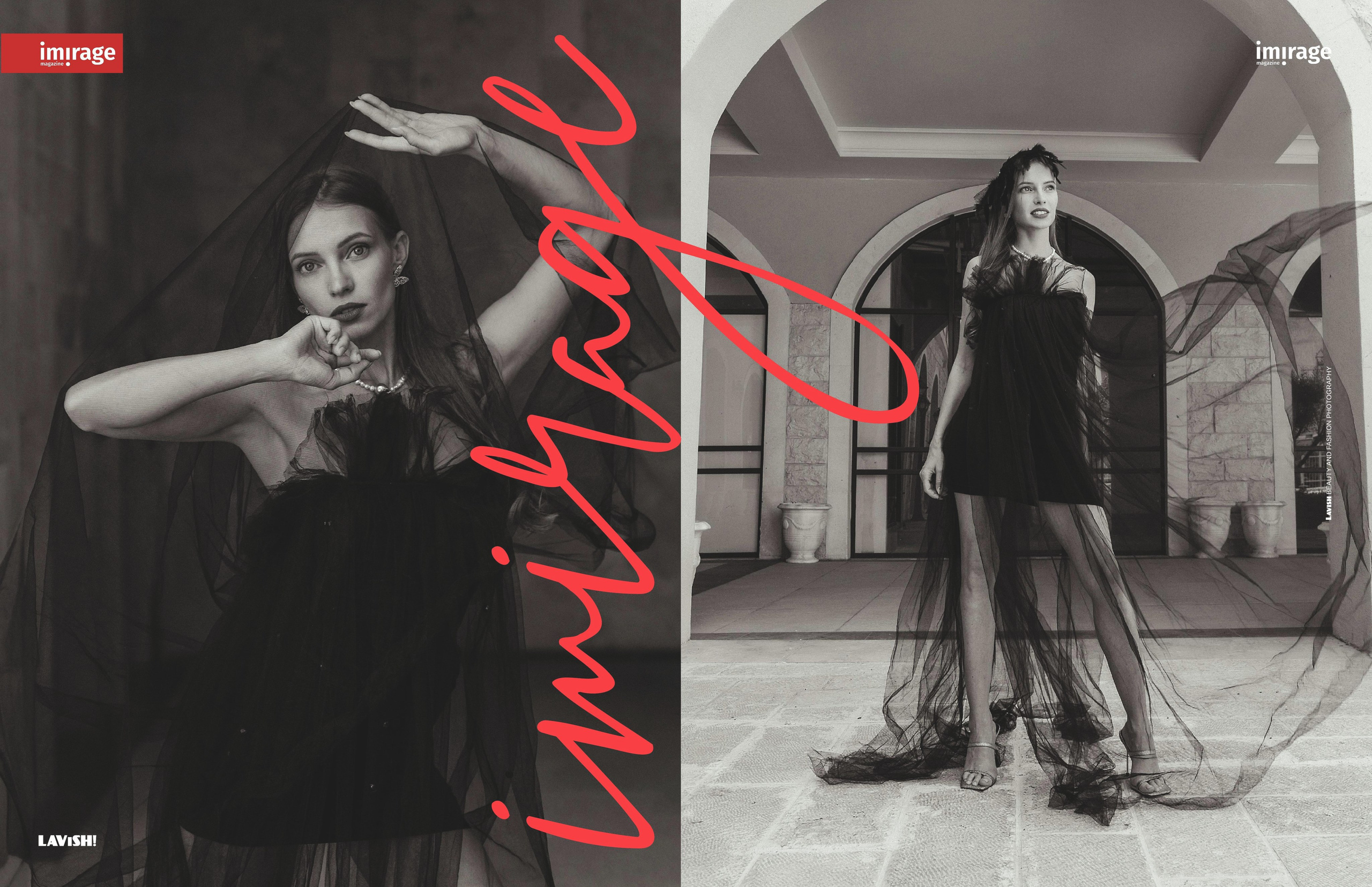 Черный лебедь. Фотограф Тимофеева Любовь