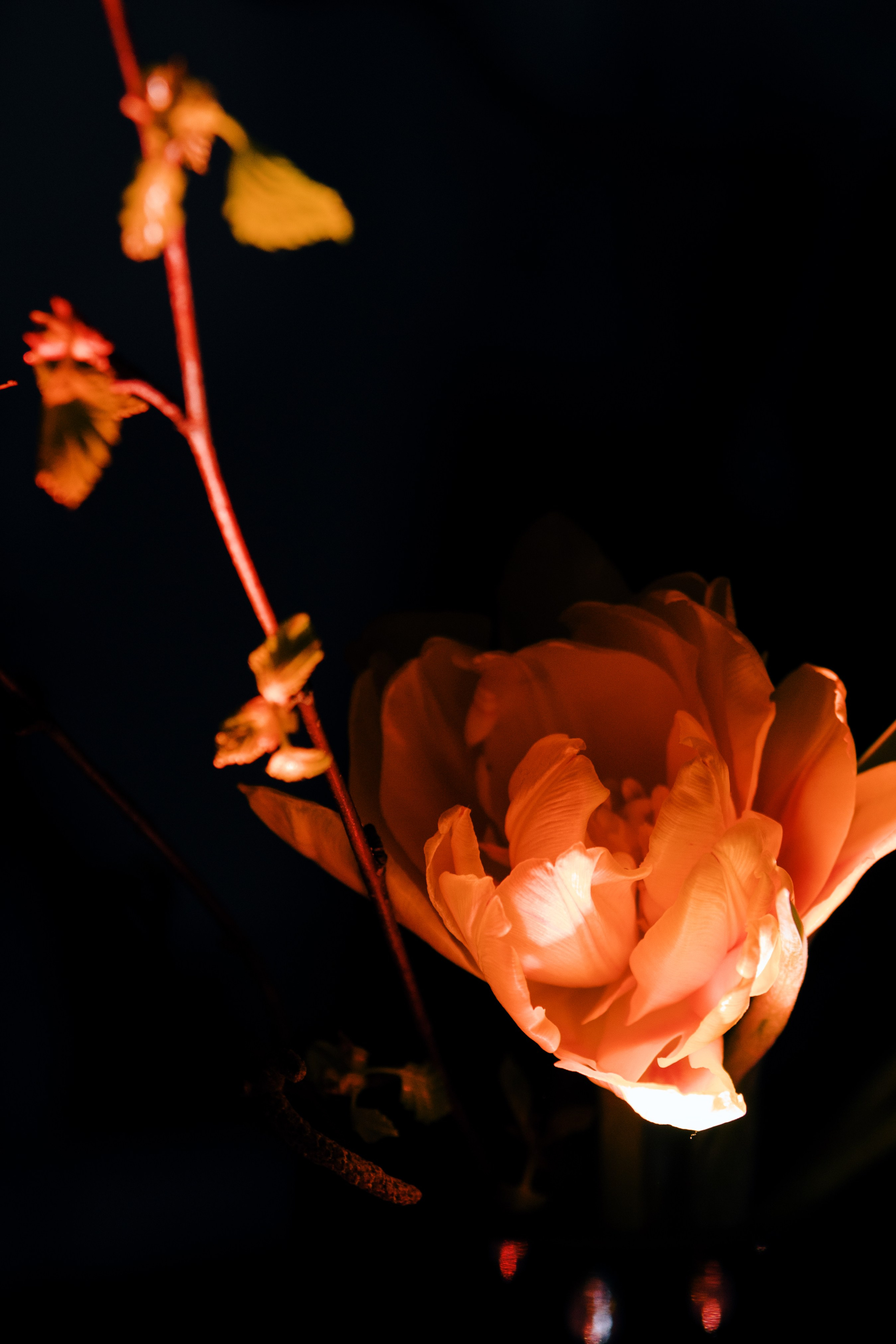 AUXI Noise 24. Fashion Фотограф в СПб Yana Kochkina