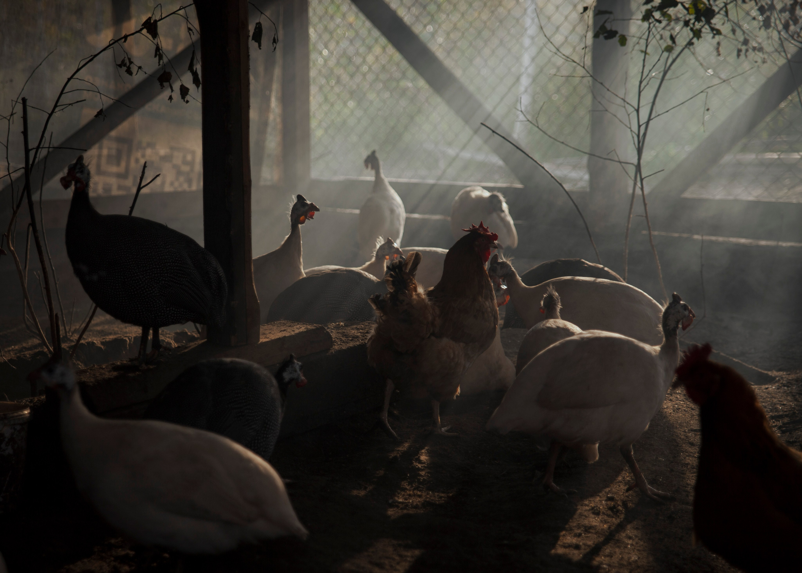 Backstage со съёмок фильма «Reverenсе». Портретный фотограф в Москве Дарья Цезария