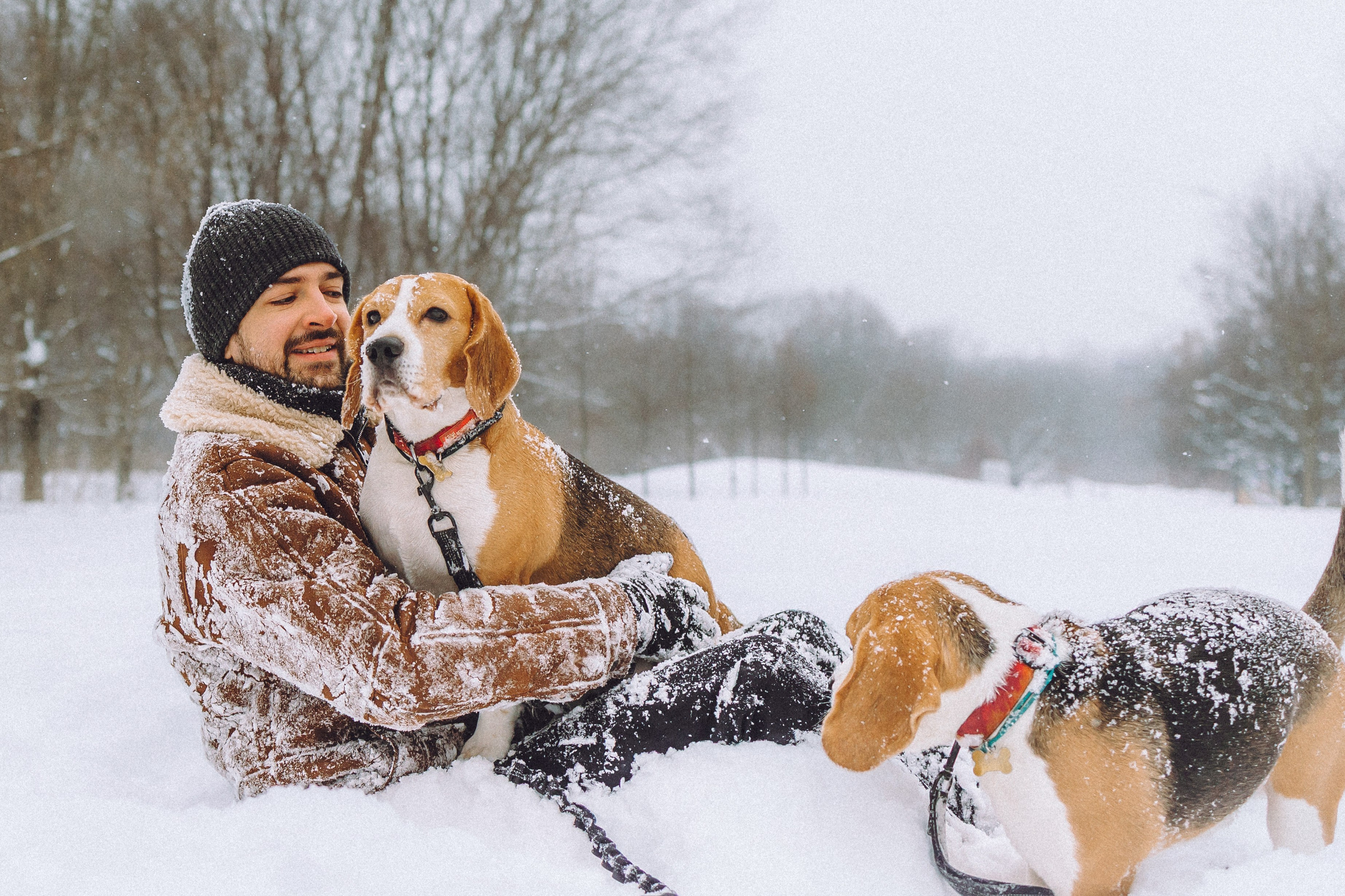 Роман, Портер и Коррес