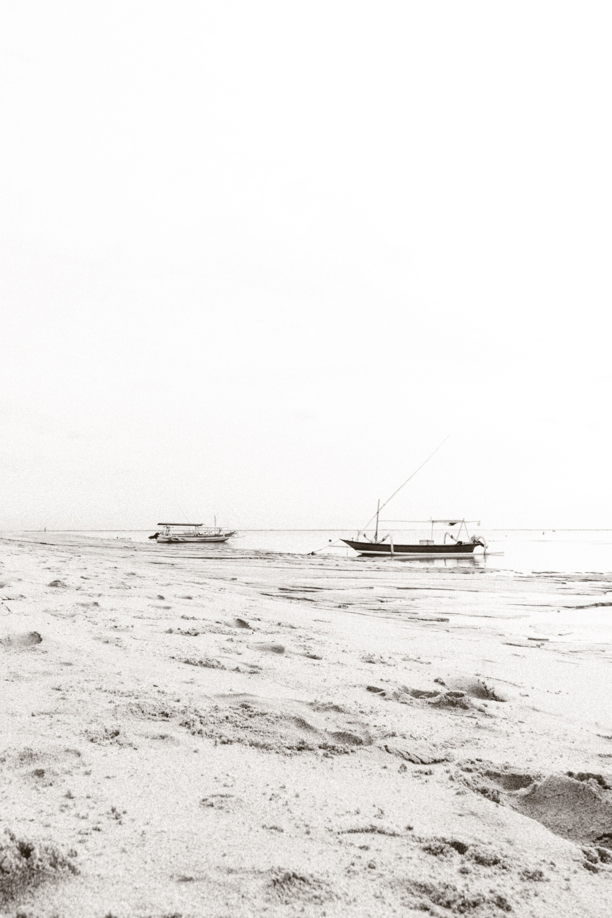 Victor. Alena Gribkova