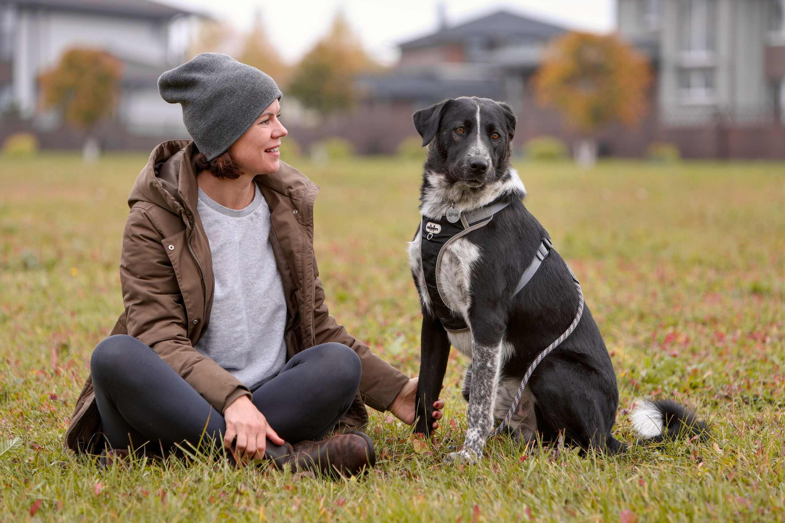 Собаки. Фотограф Максим Татаринов