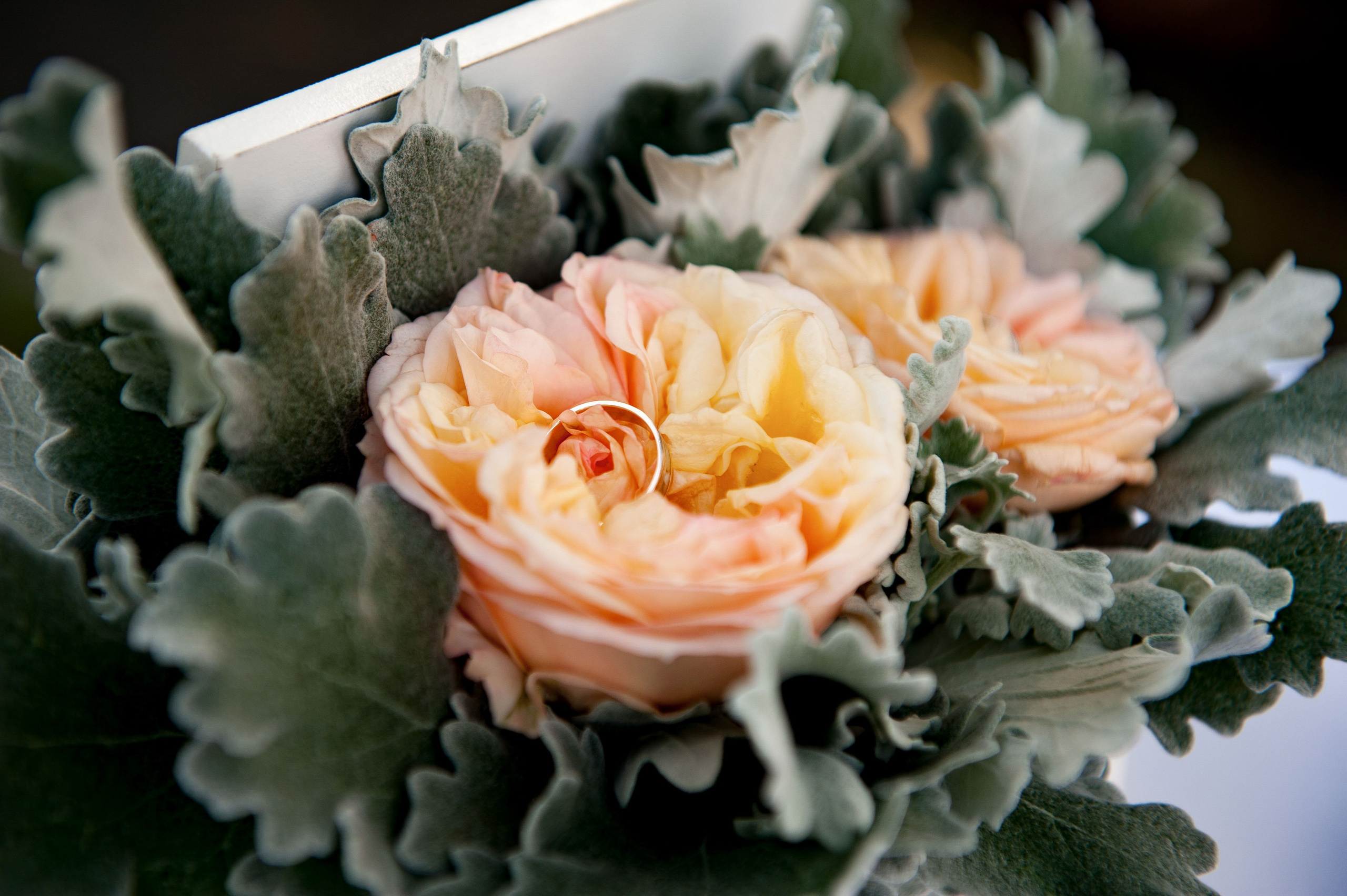 Свадьба в замке Лагендорф. Свадебный фотограф Калининград - Александр Зубанов