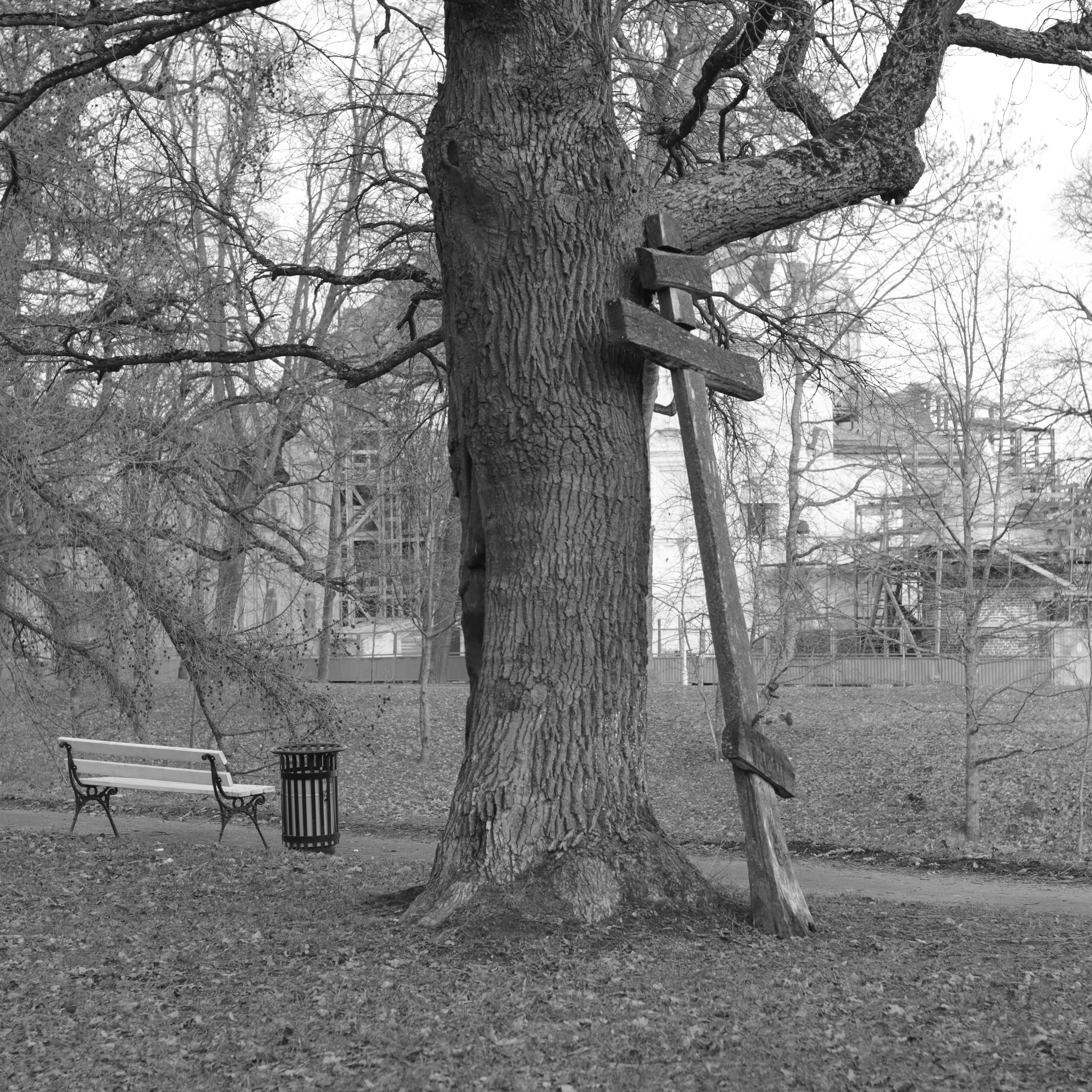 Tsarskoe Selo. Фотограф и исследователь фотографии из Санкт-Петербурга Елизавета Веприцкая