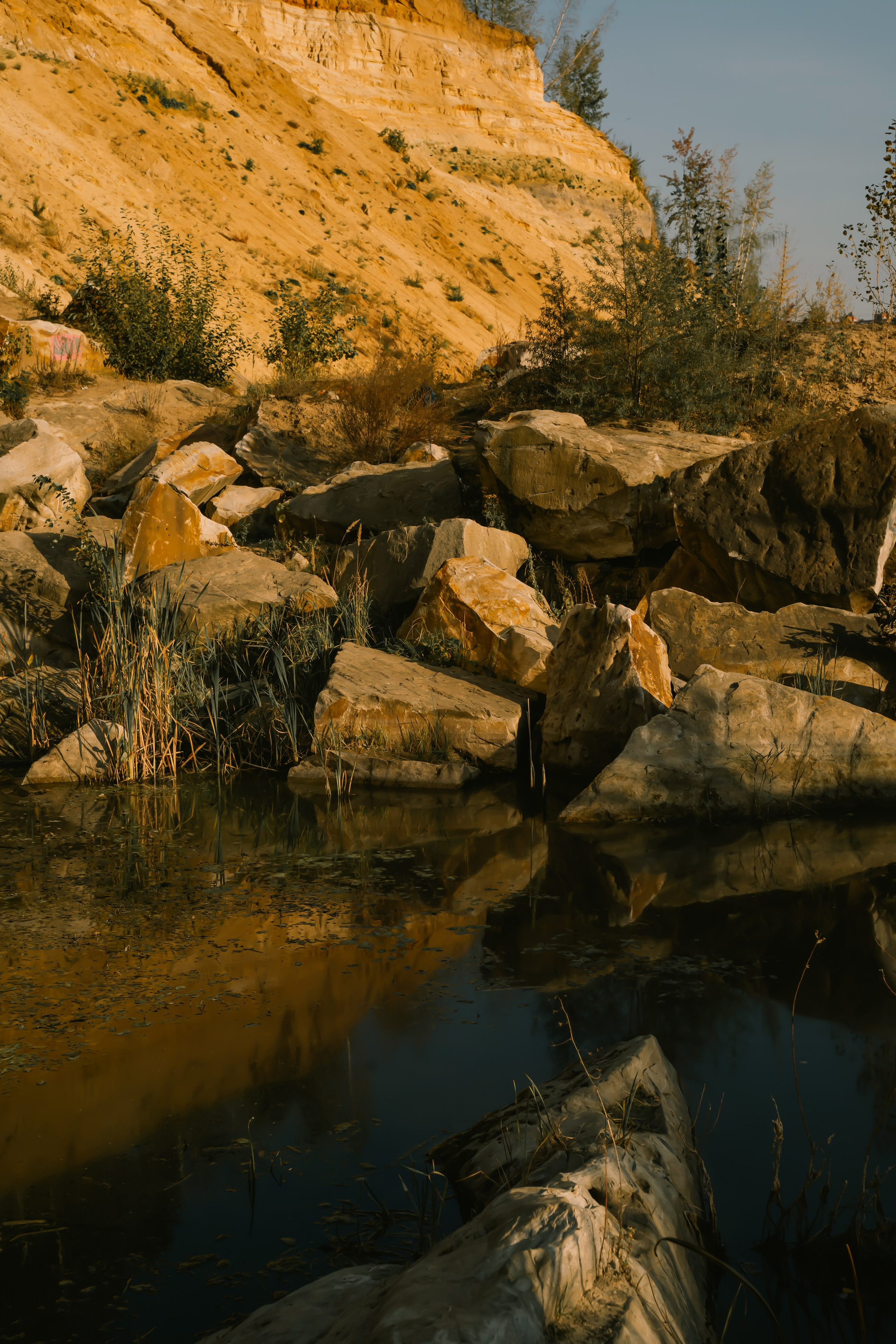 Разное. Фотограф в Москве Асиетта