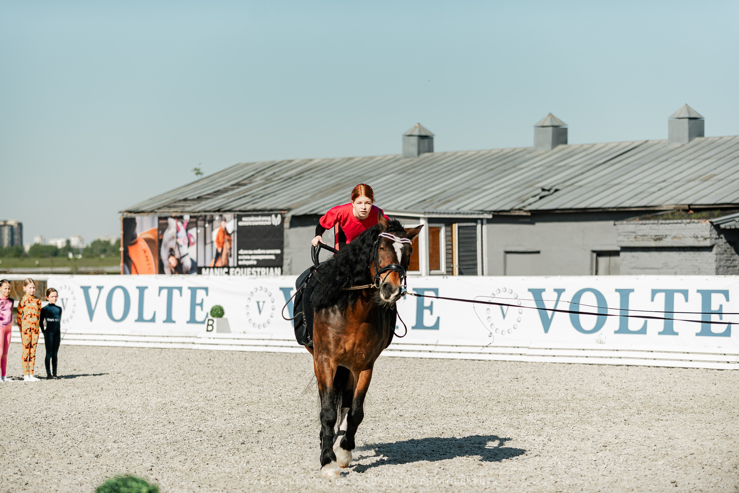 РЕПОРТАЖ МКК ВОЛЬТ «LA TULIPS». Конный фотограф Куракина Дарья • Фотосессии с лошадьми