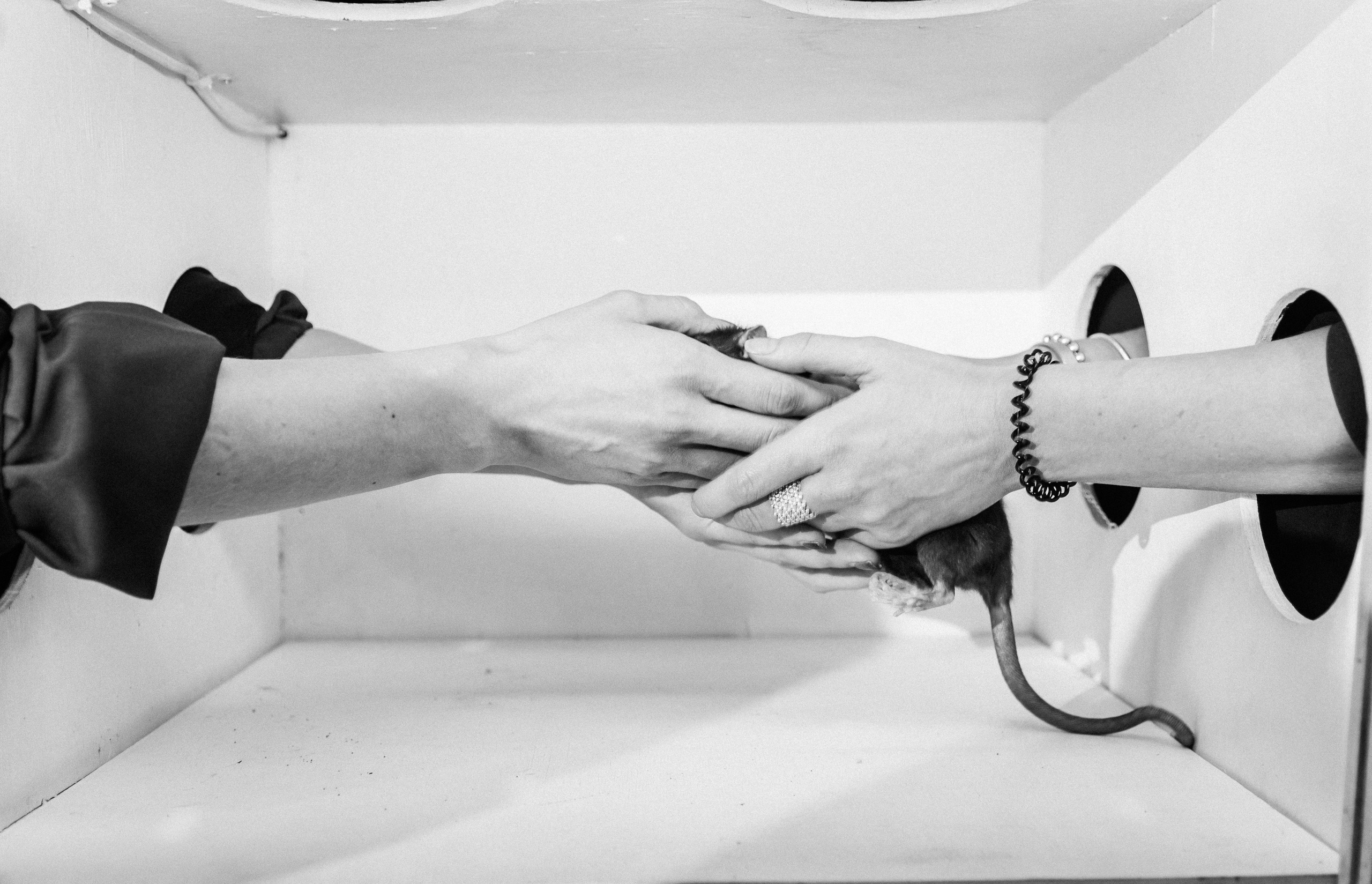 Игра в Кальмара. Свадебный фотограф Москва Анна Шилова