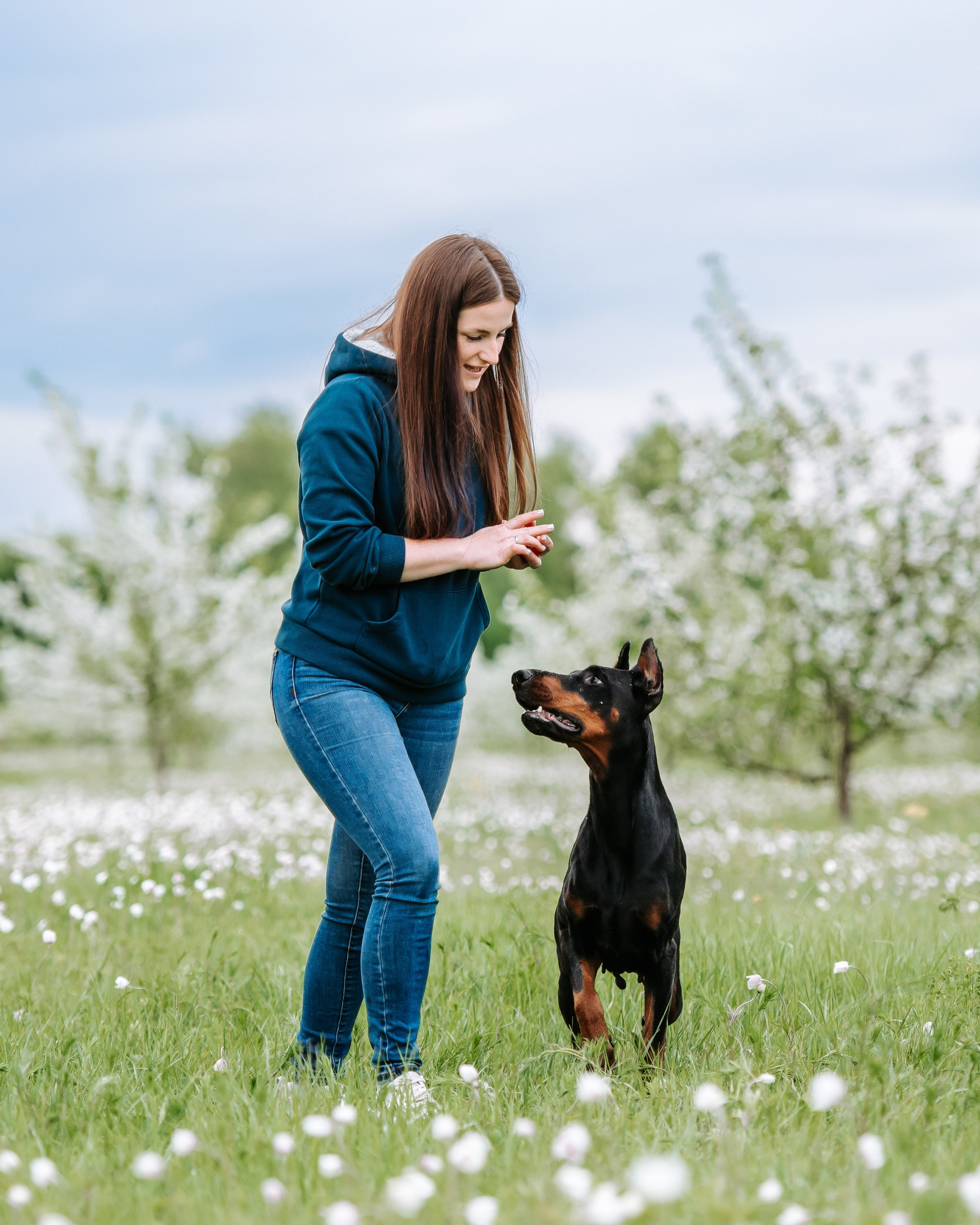 Цветение с доберманами. Фотограф Диана Оленина Красноярск / Братск