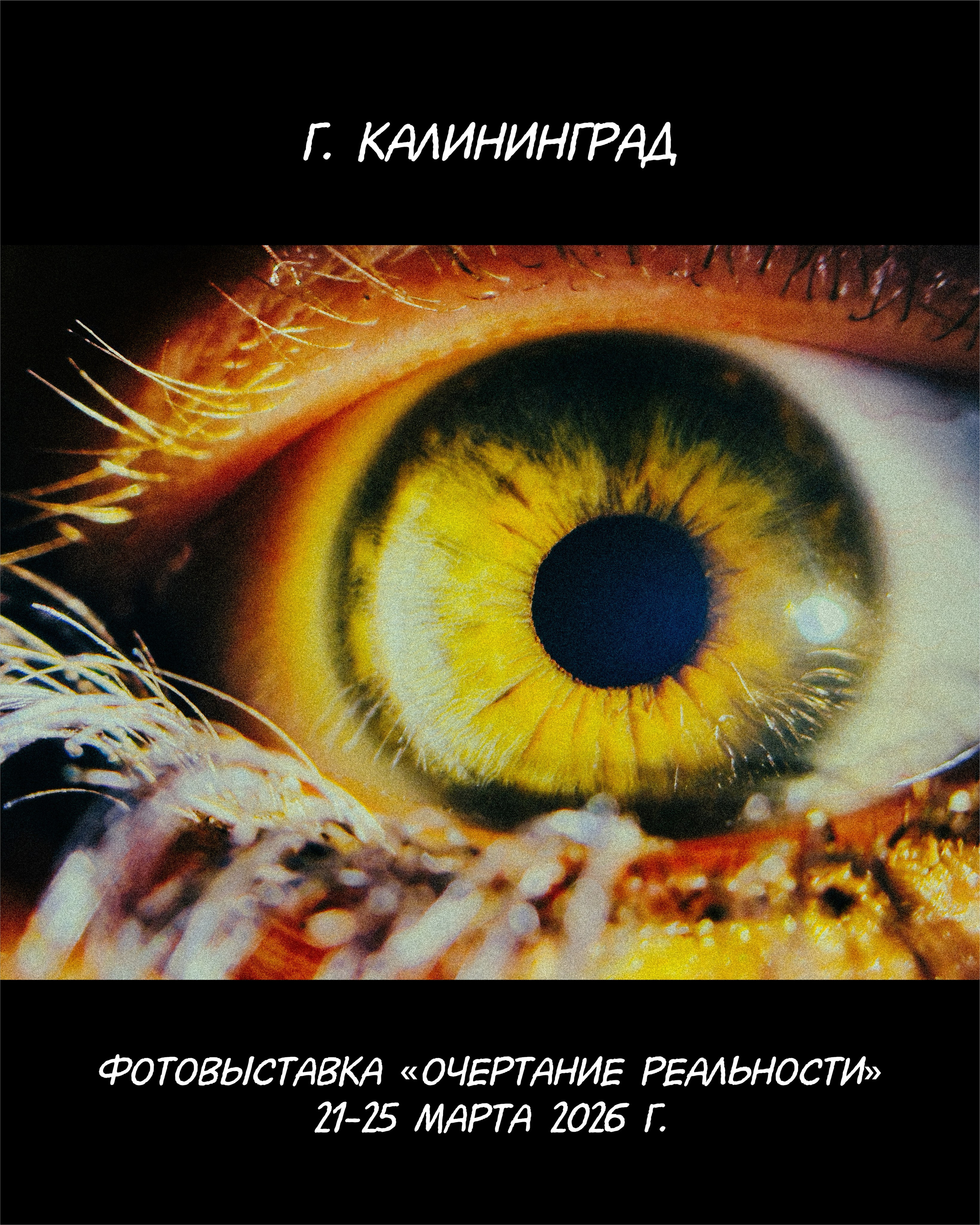 Калининград, ПОНАРТ, Международная фотовыставка