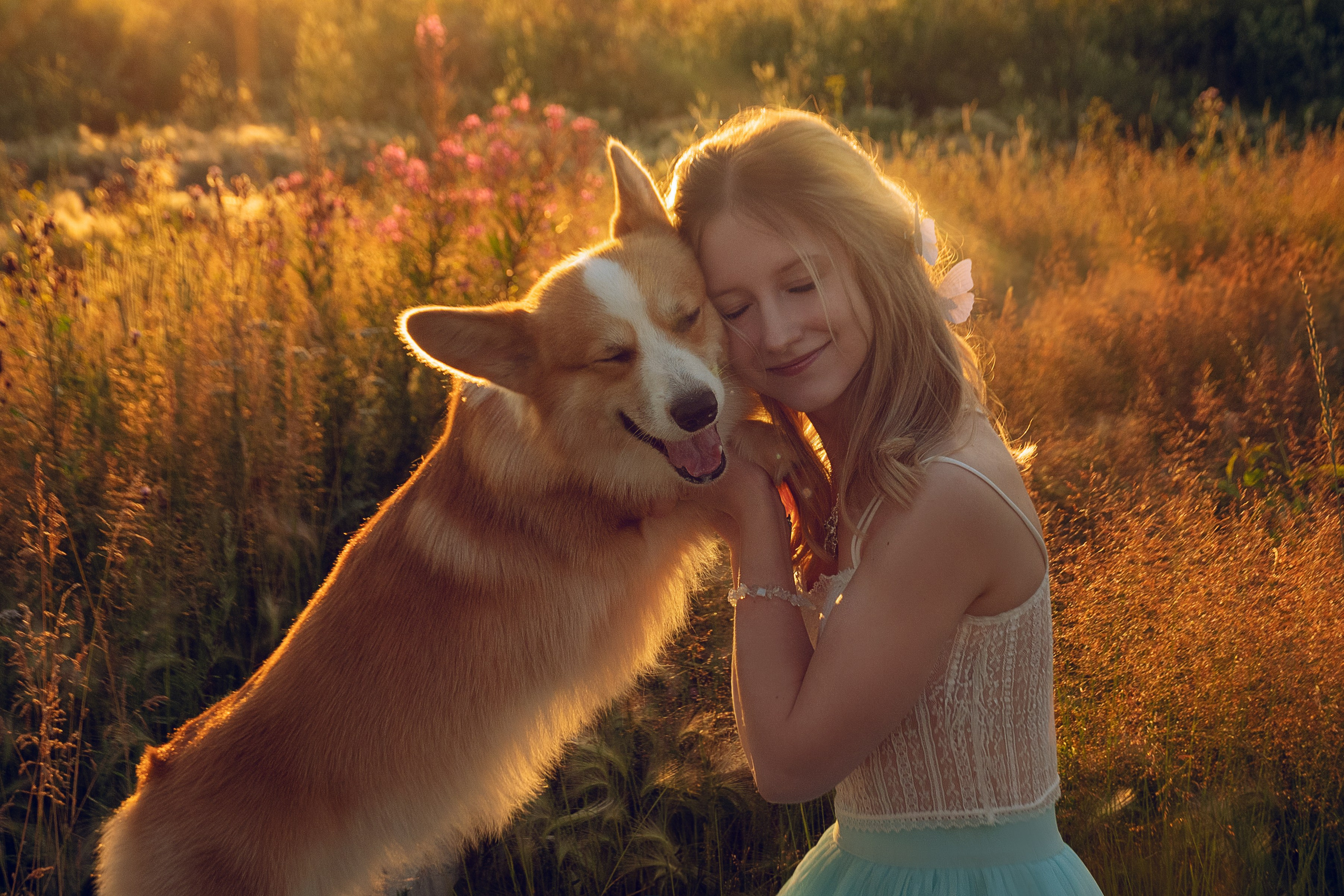 Съемка с собаками, животными. Сайт фотографа Елены Коноваловой Иркутск