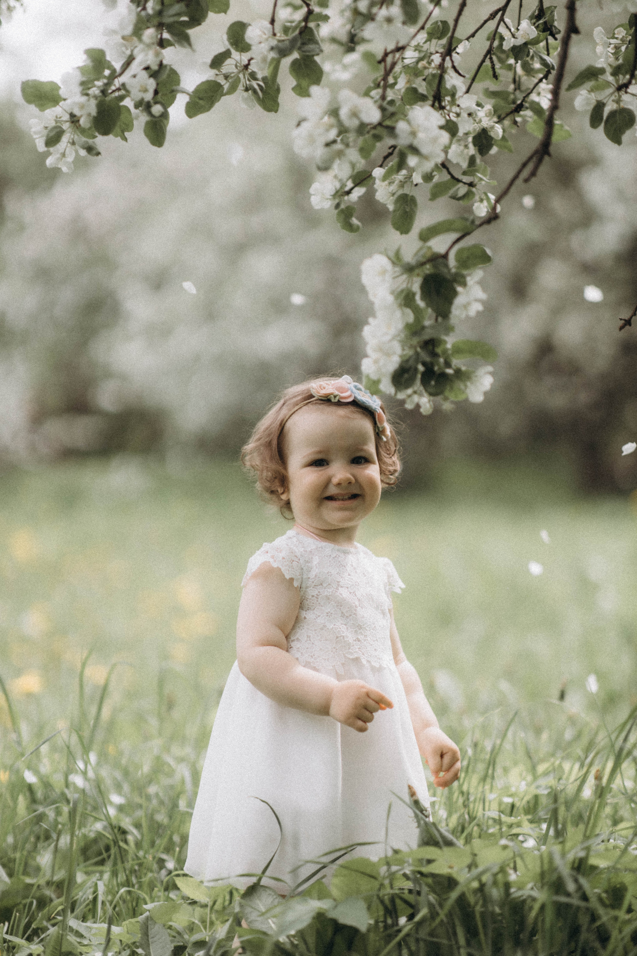 Среди яблонь