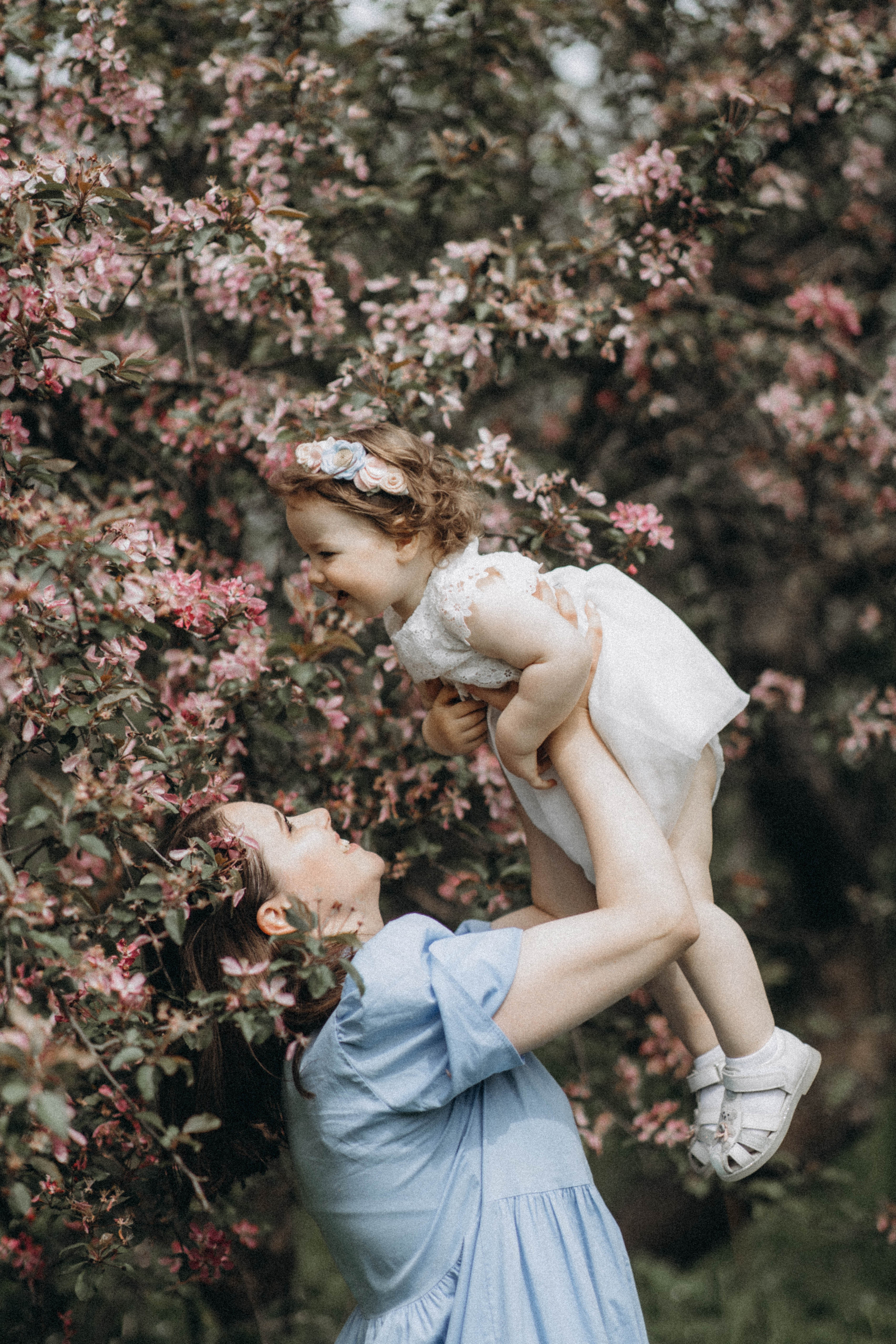 Среди яблонь