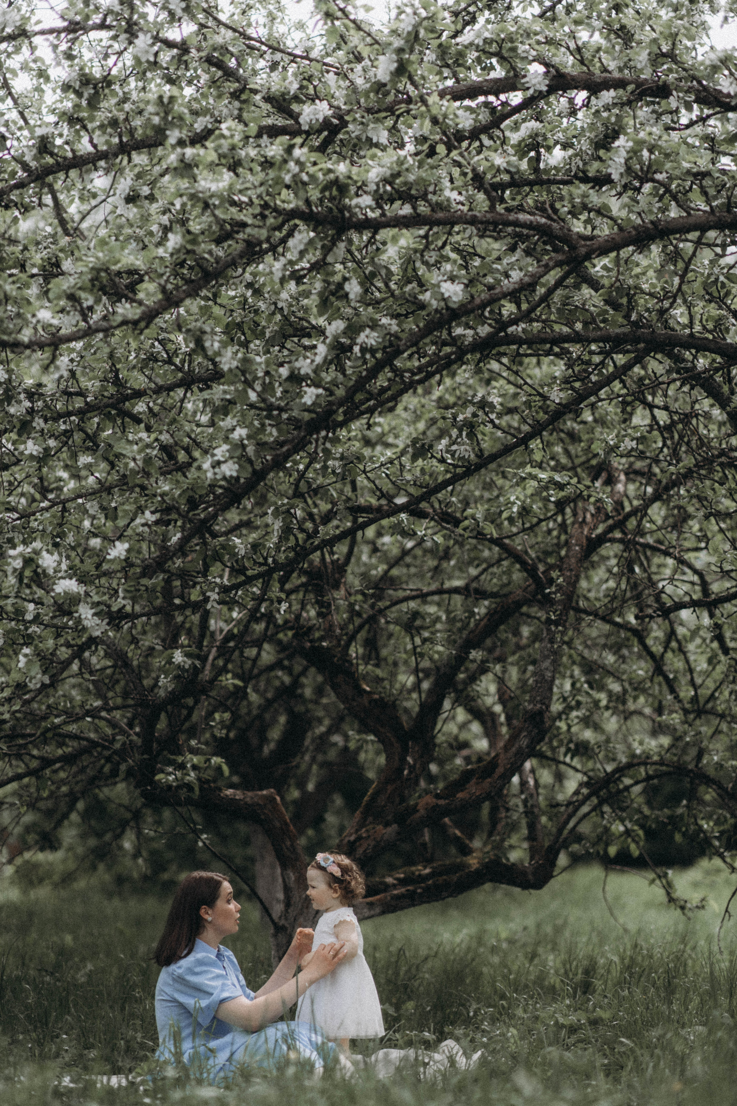 Среди яблонь