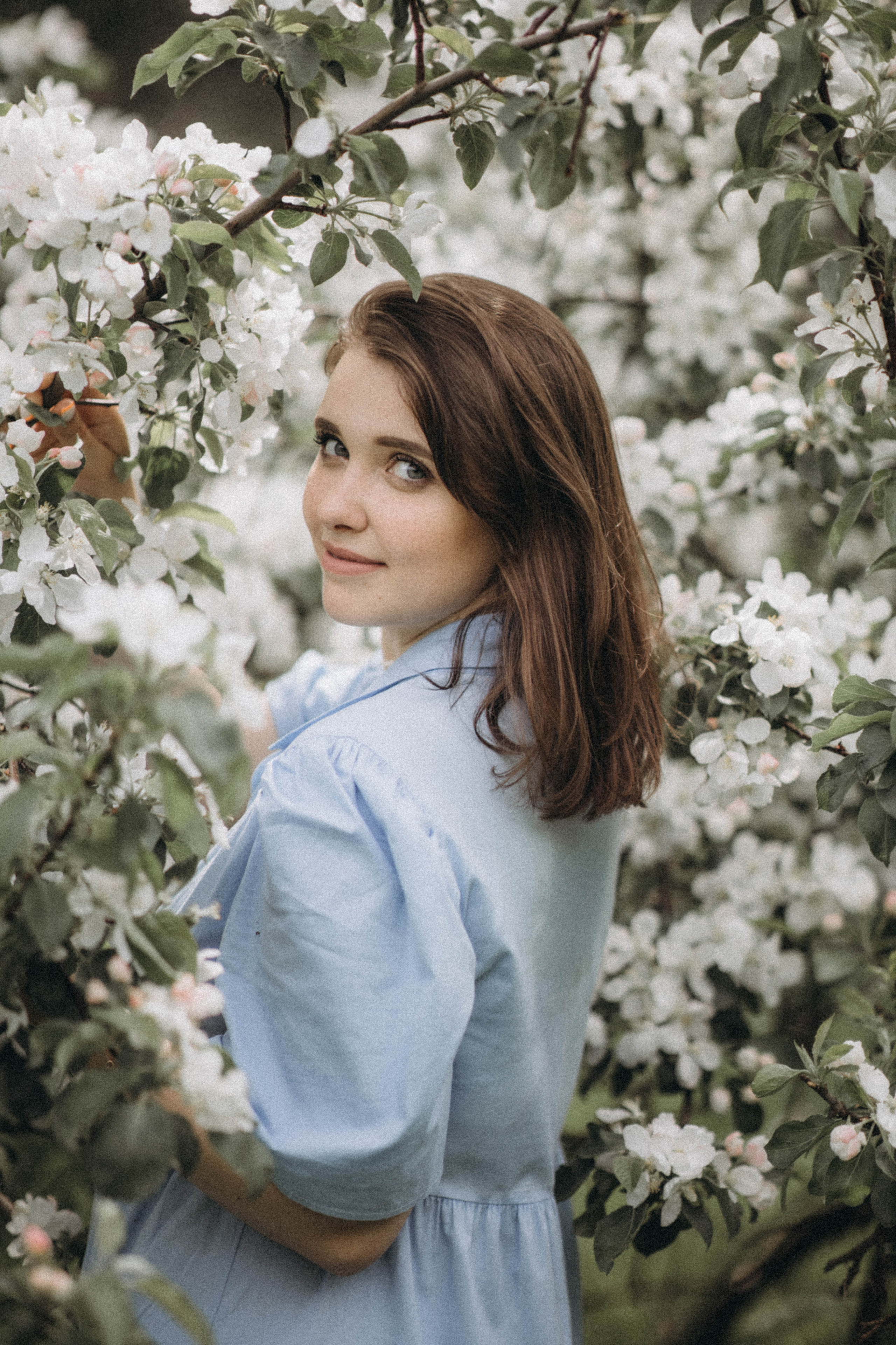 Среди яблонь