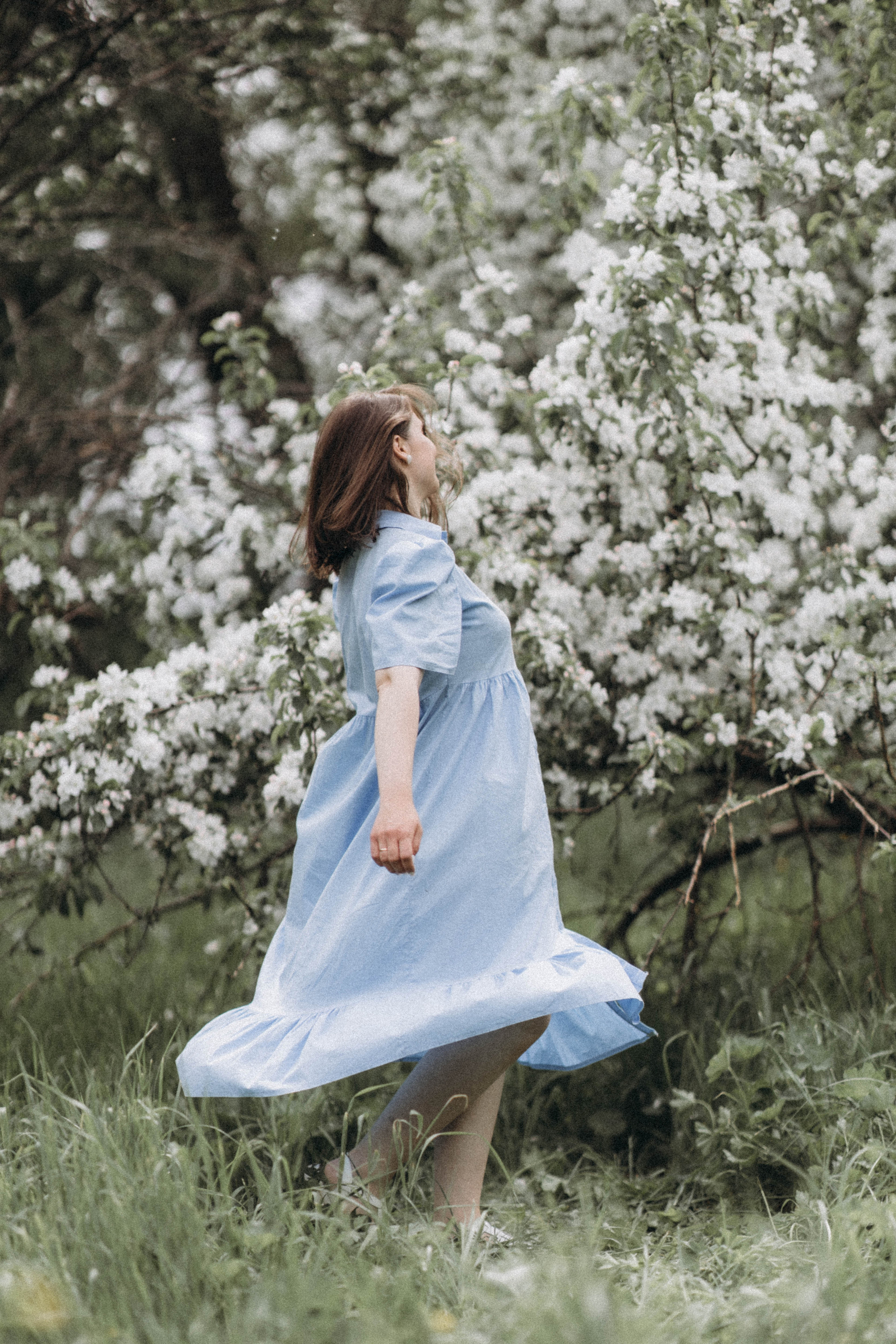 Среди яблонь