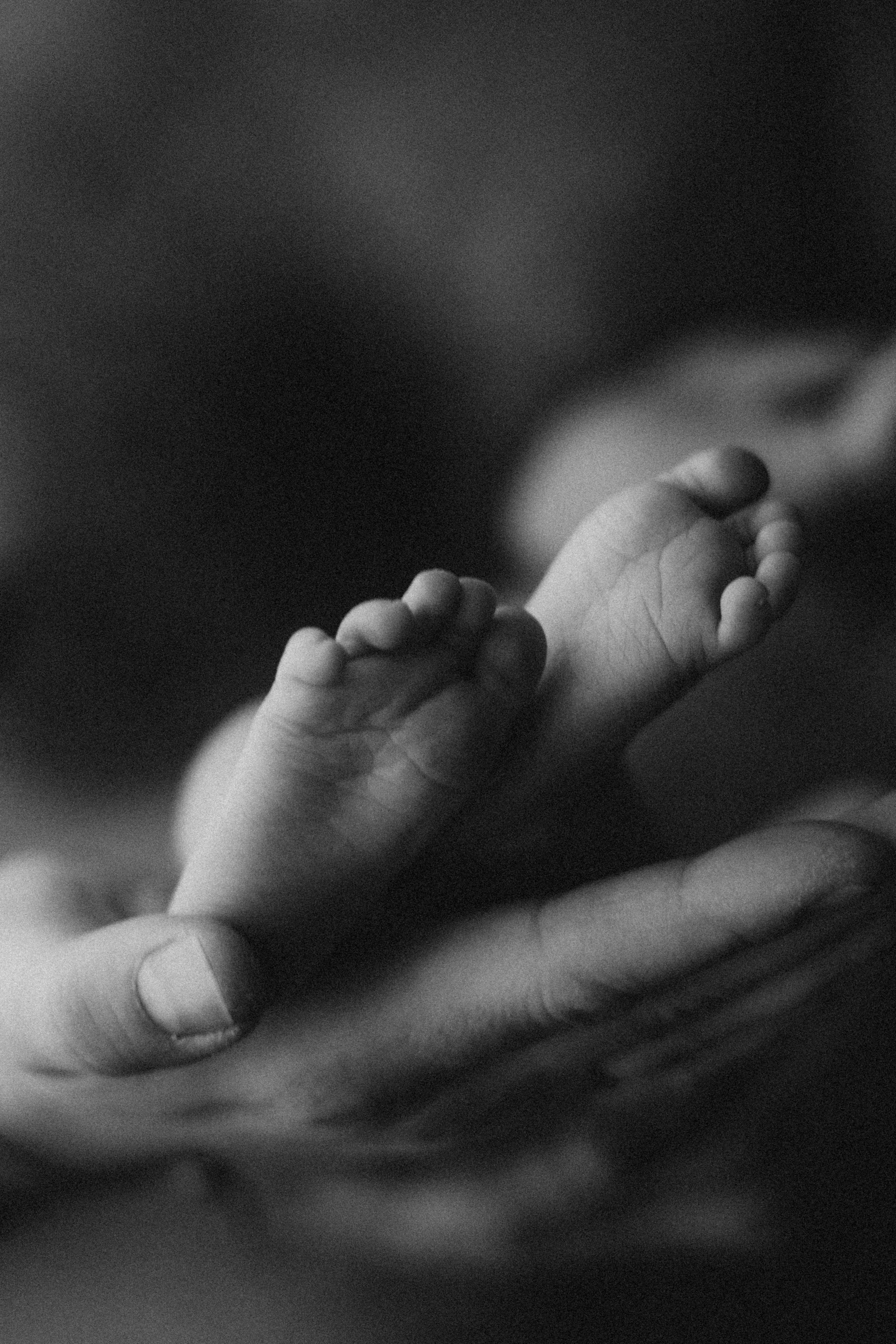 Малышка Алиса с семьей