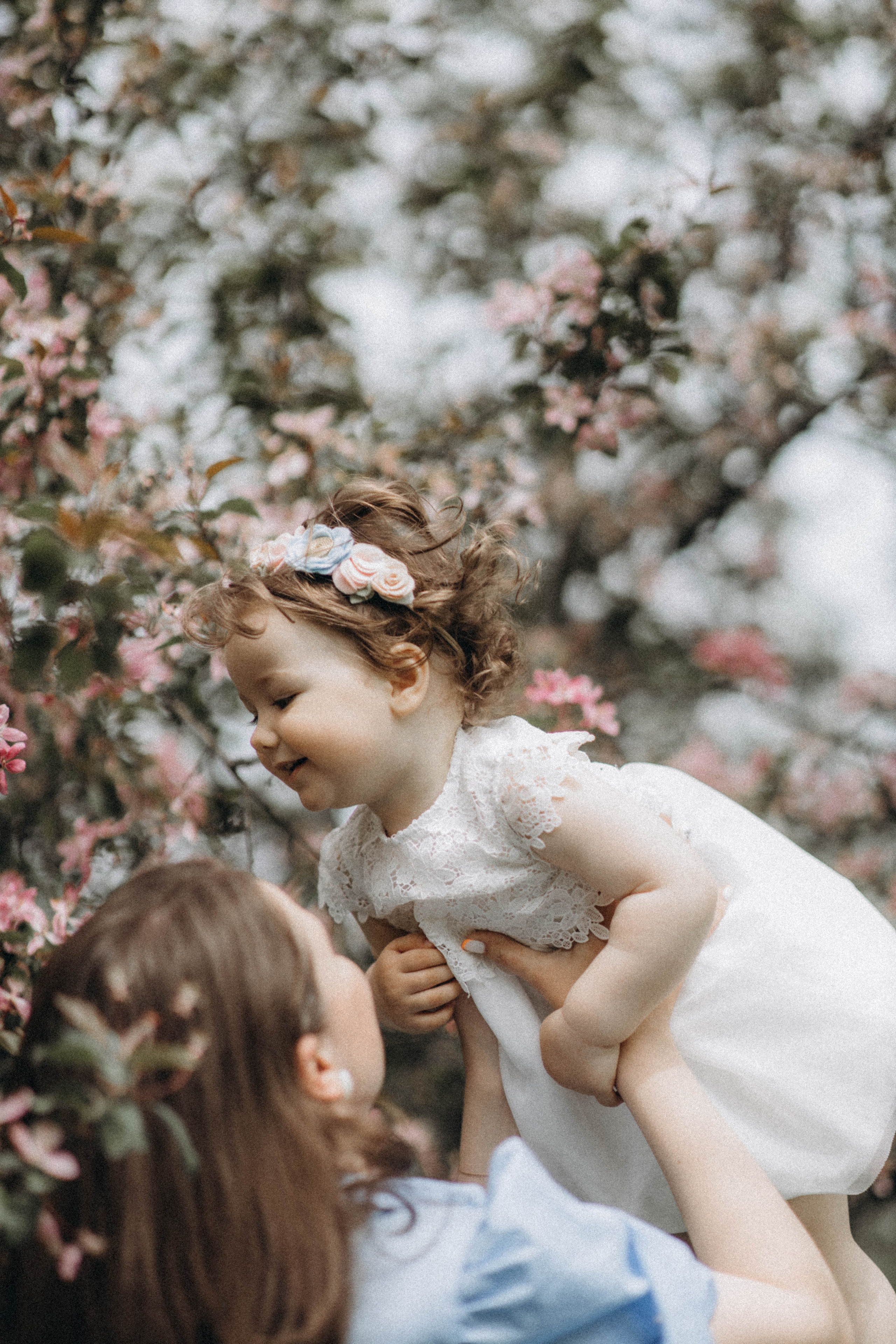 Среди яблонь