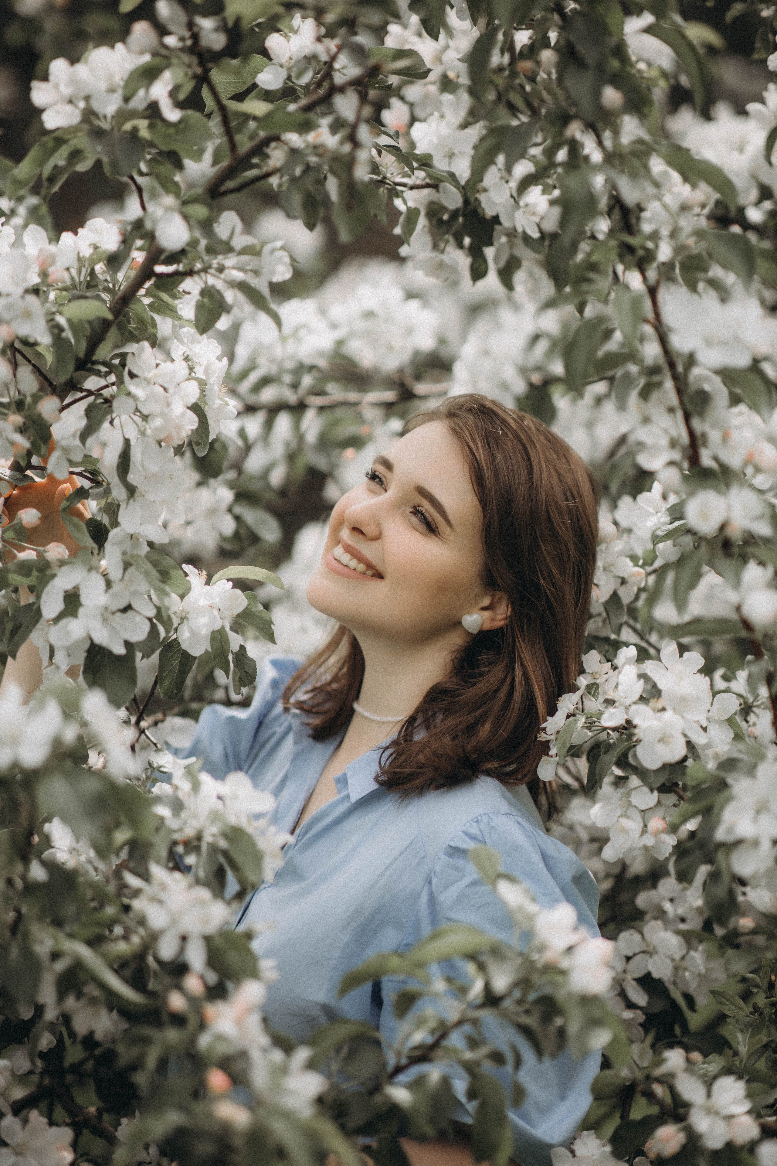 Среди яблонь