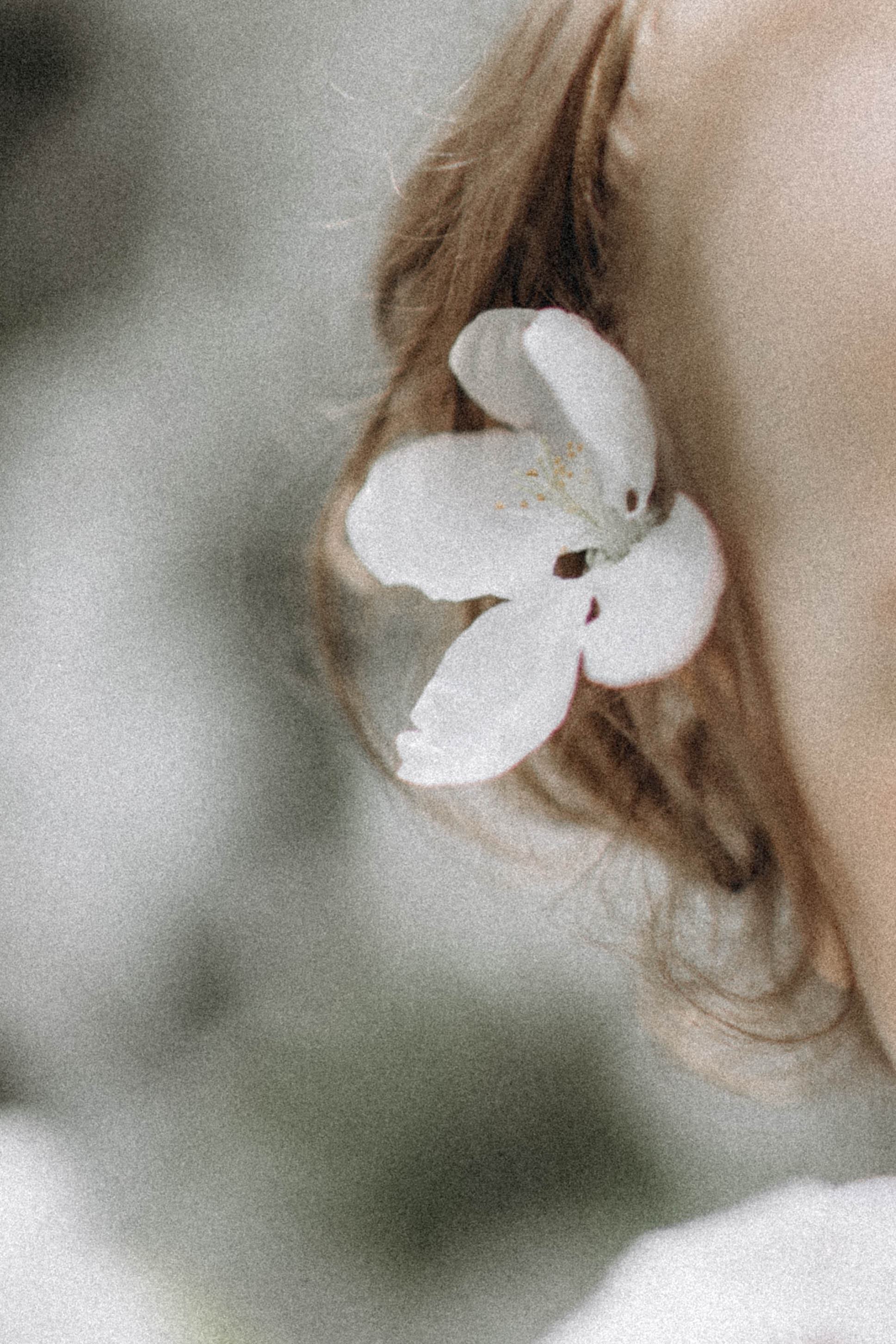 Среди яблонь