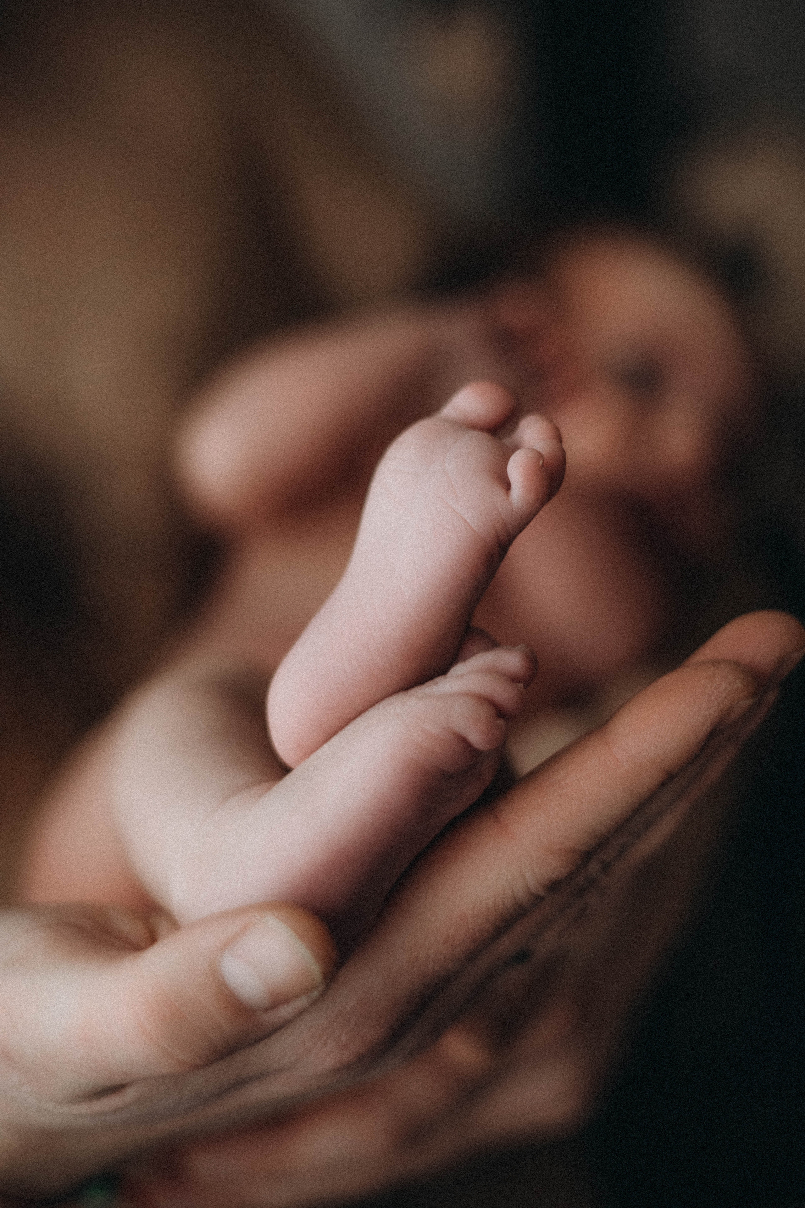 Малышка Алиса с семьей