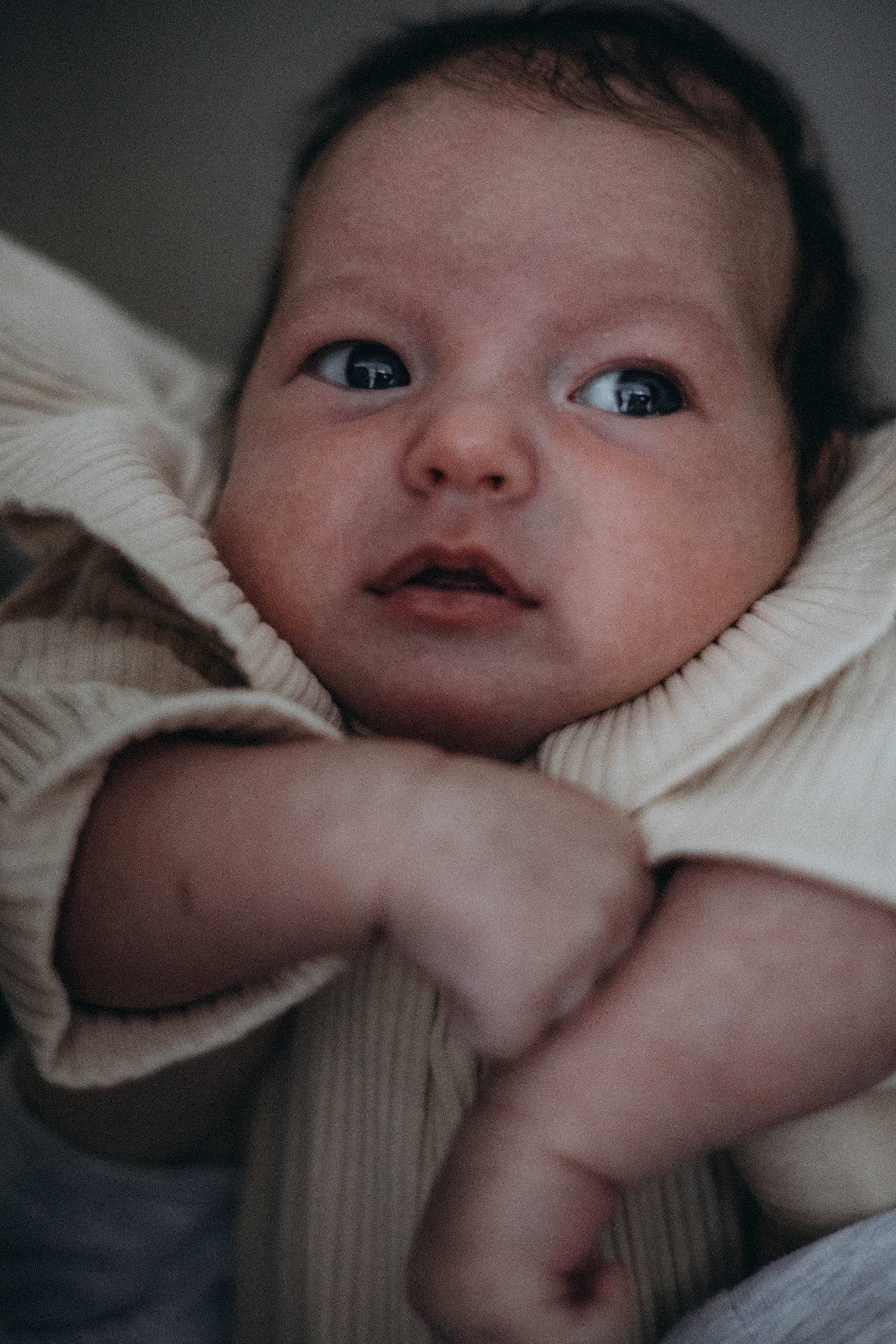 Малышка Алиса с семьей