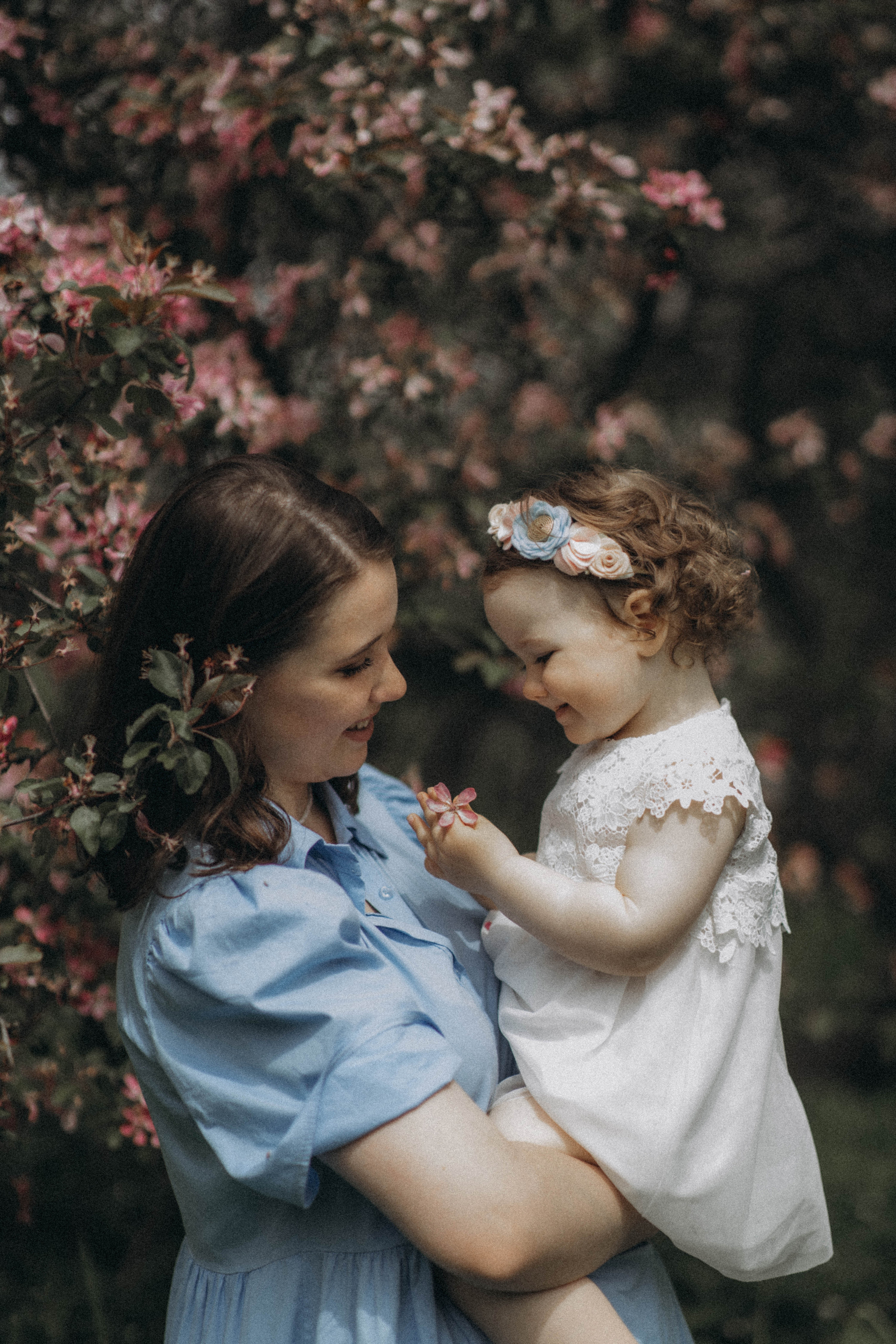 Среди яблонь