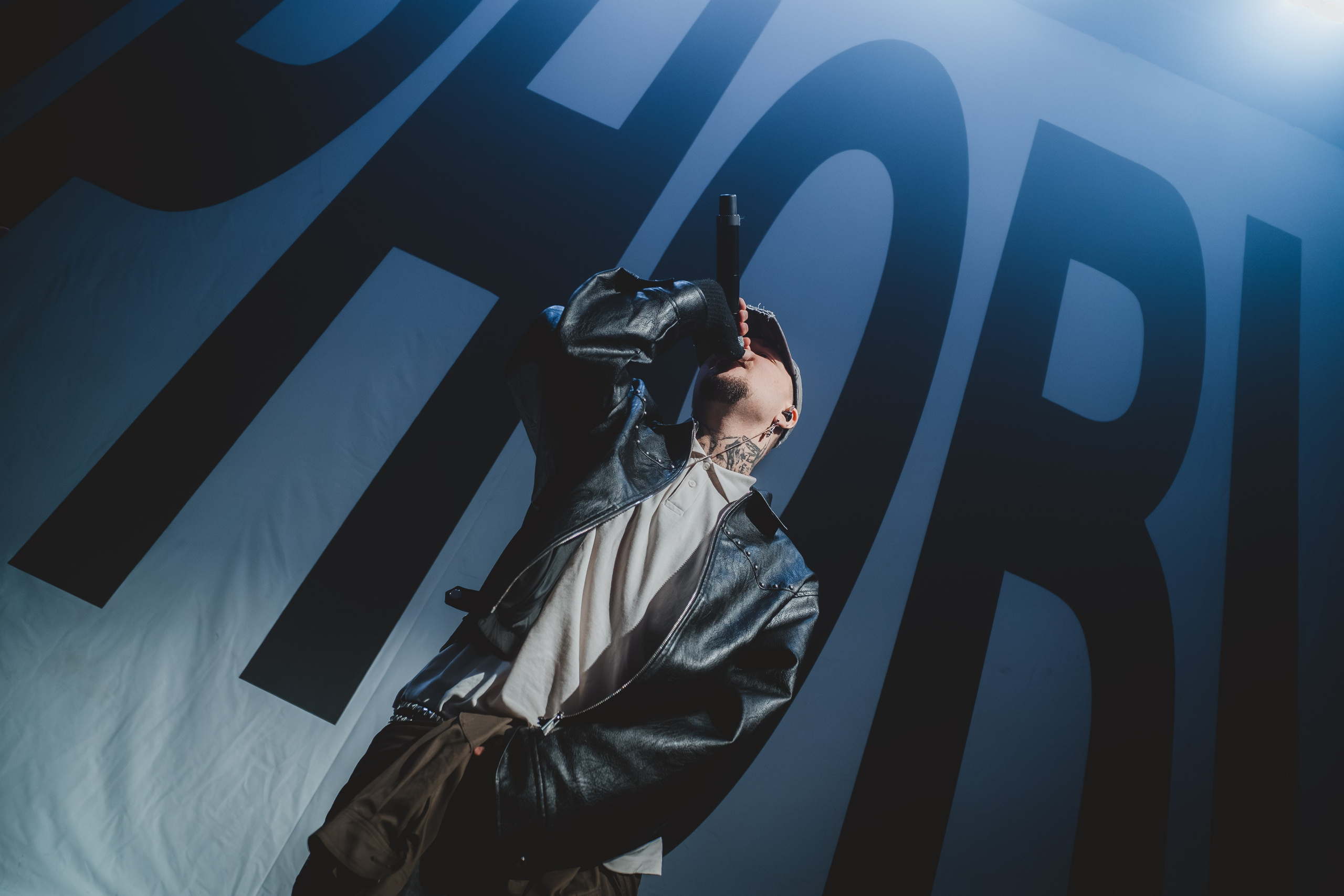 SALUKI. Фотограф Санкт-Петербурга