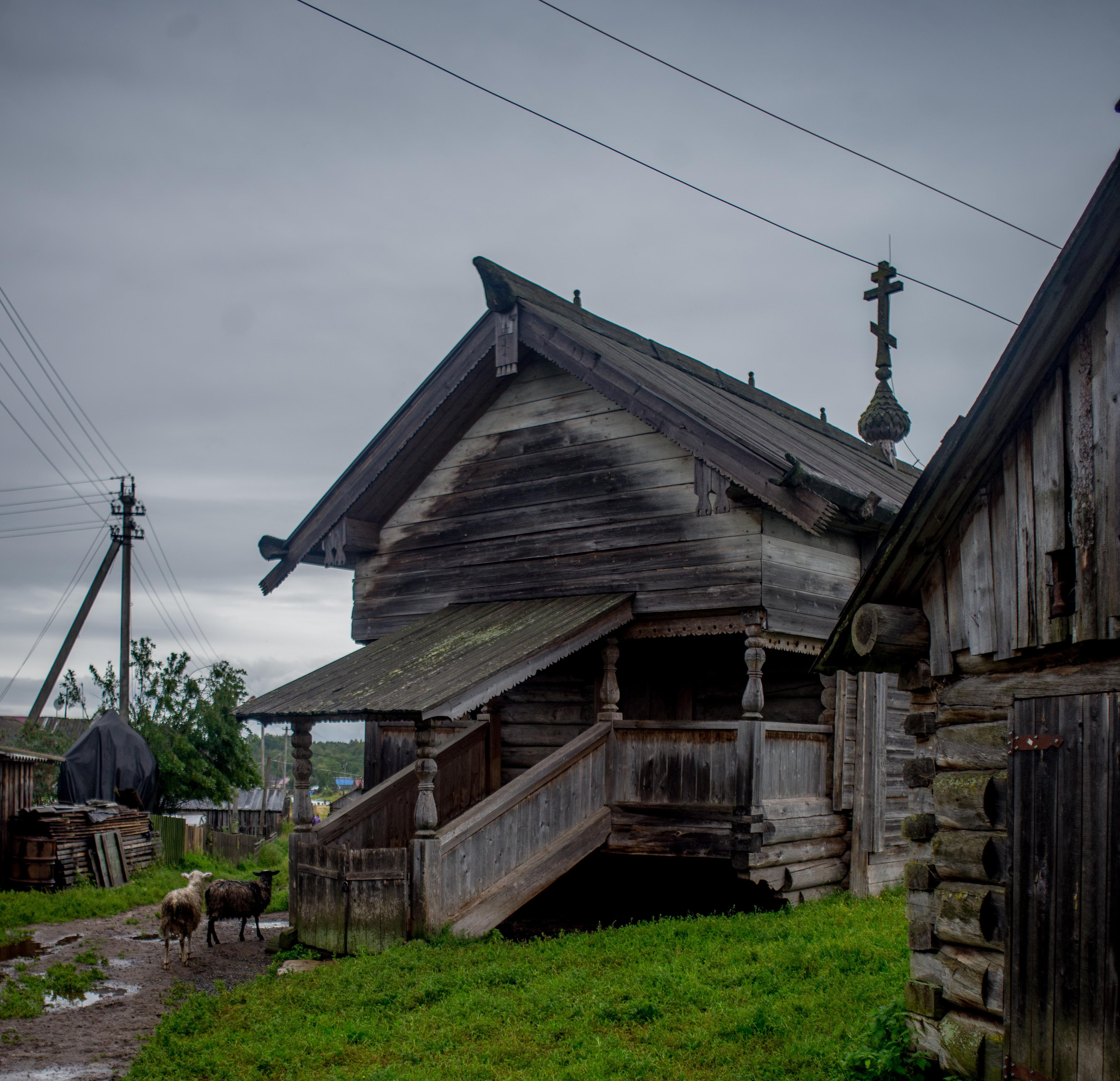 Kenozero. A hidden sanctuary in northern Russia. Travel photographer Max Muze