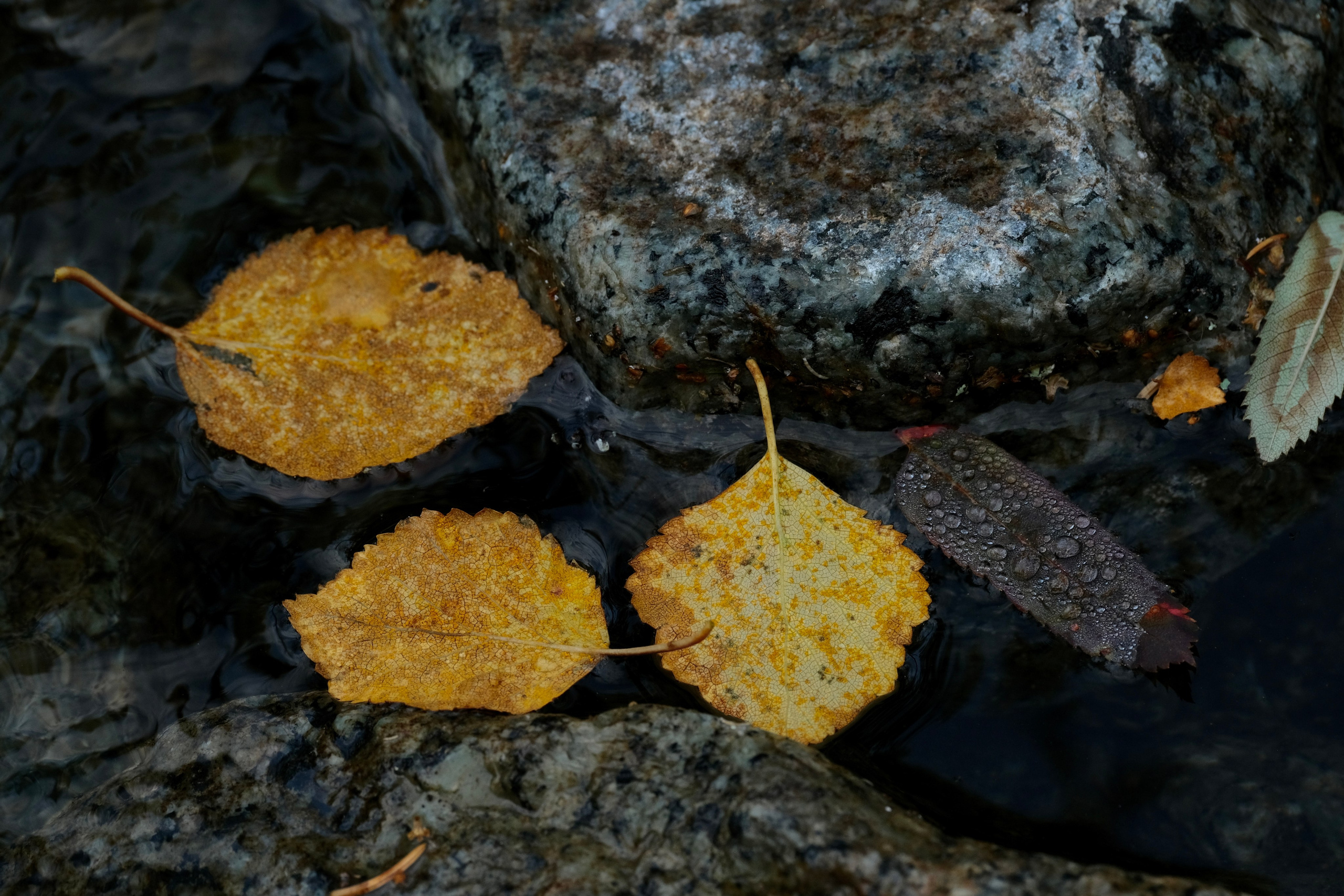 Мурманская область. Фотограф Евгений Андреев