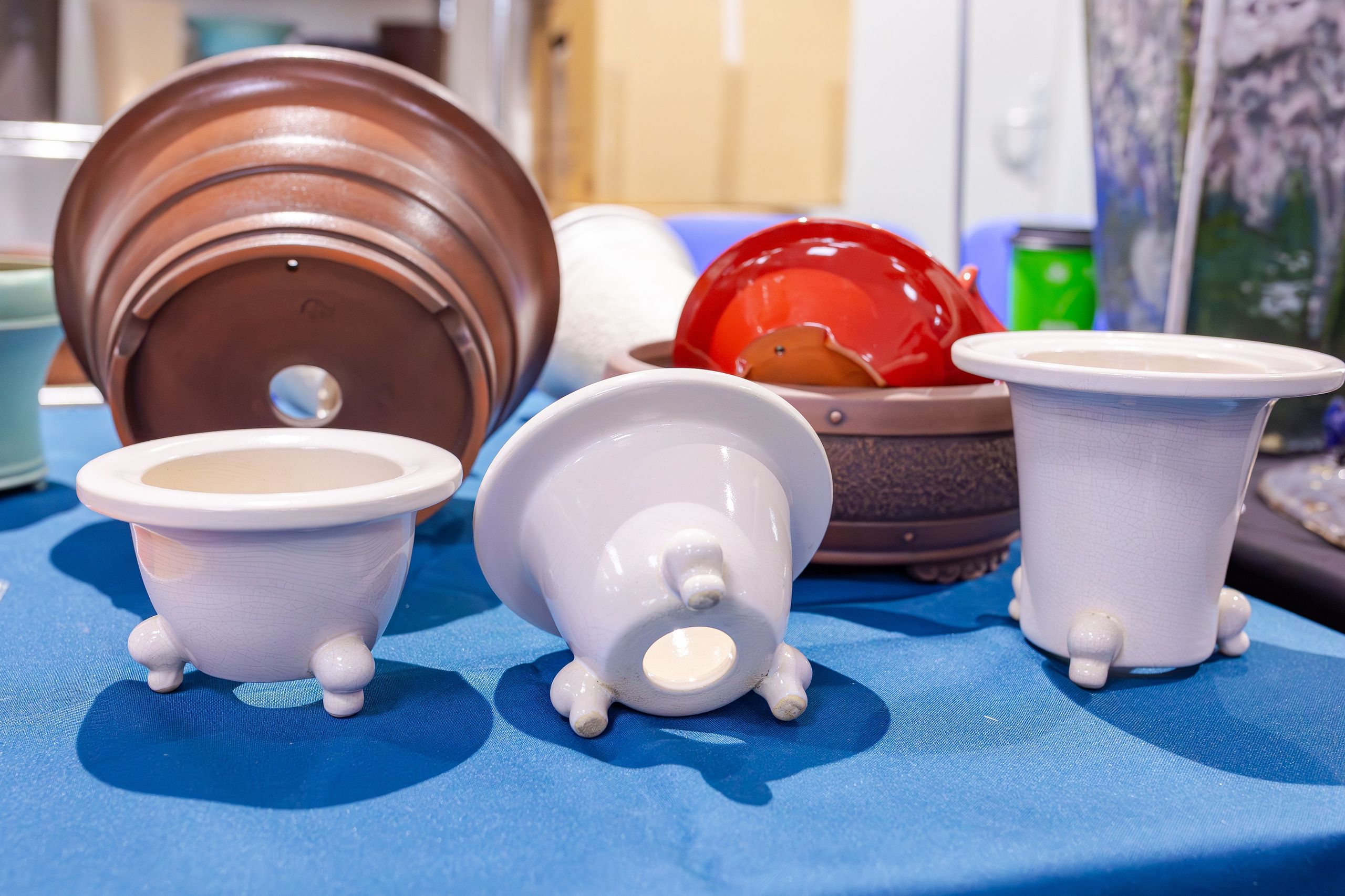 Орхидиум сентябрь 2025. Александра Куликова фотограф, Москва