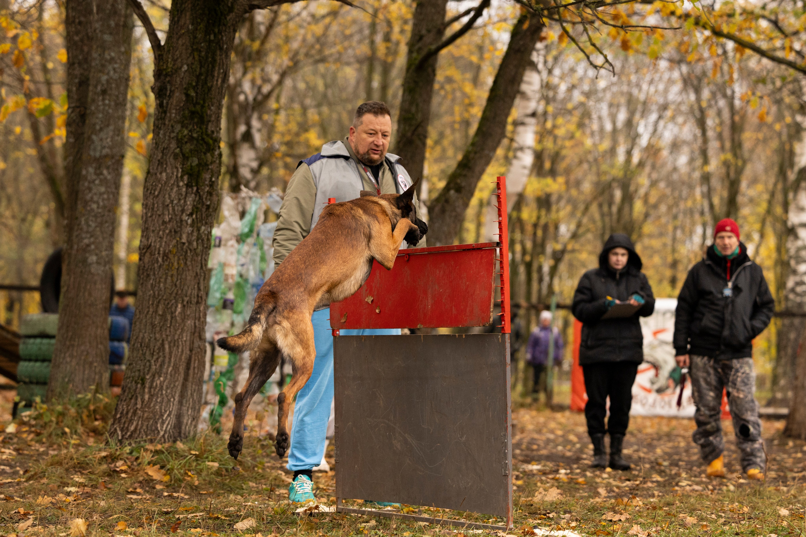Соревнования по Мондьорингу г. Вологда. Фотограф-анималист Анна Маринич