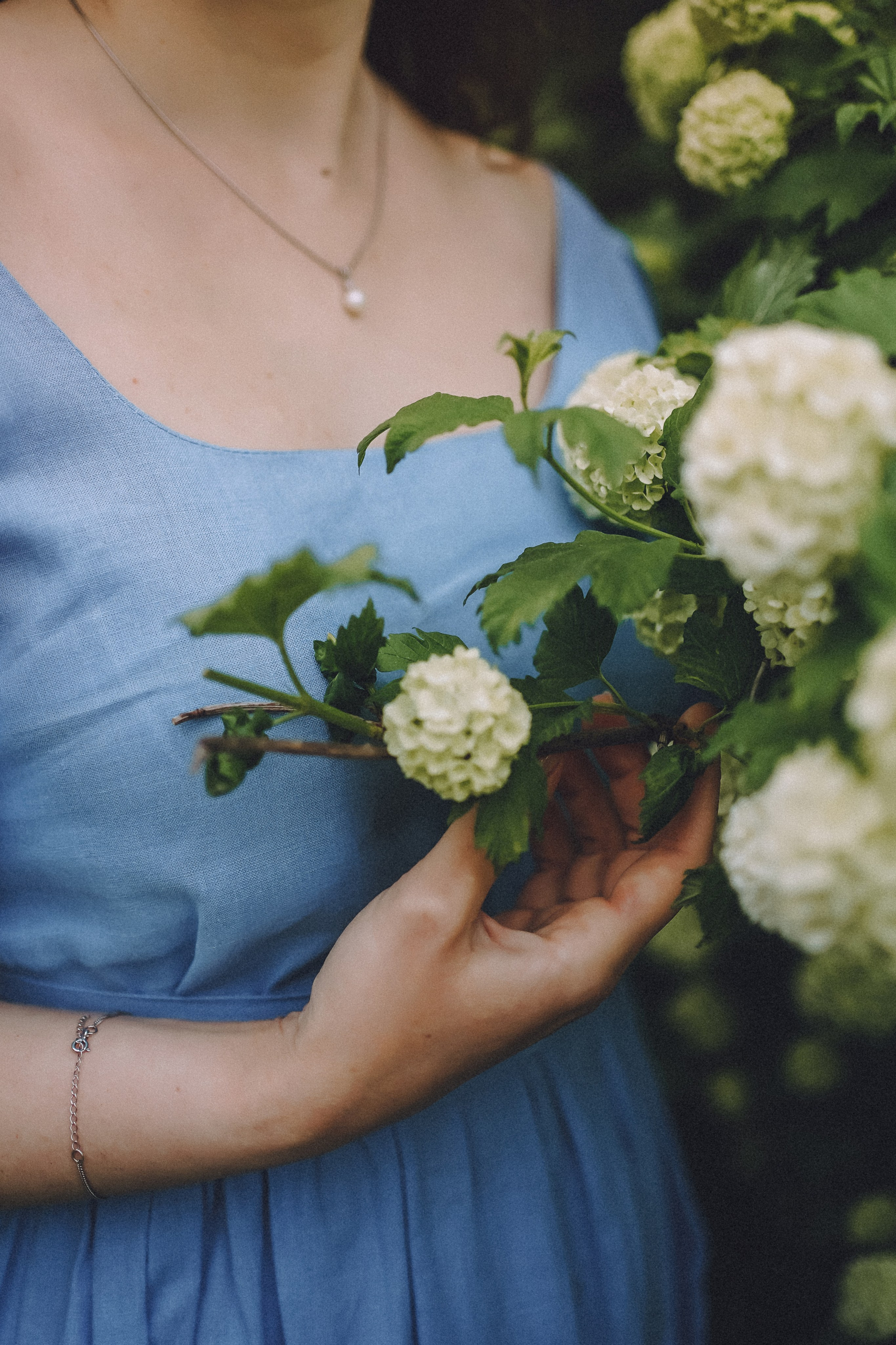 Сиреневый сон. Фотограф Наталья Колганова
