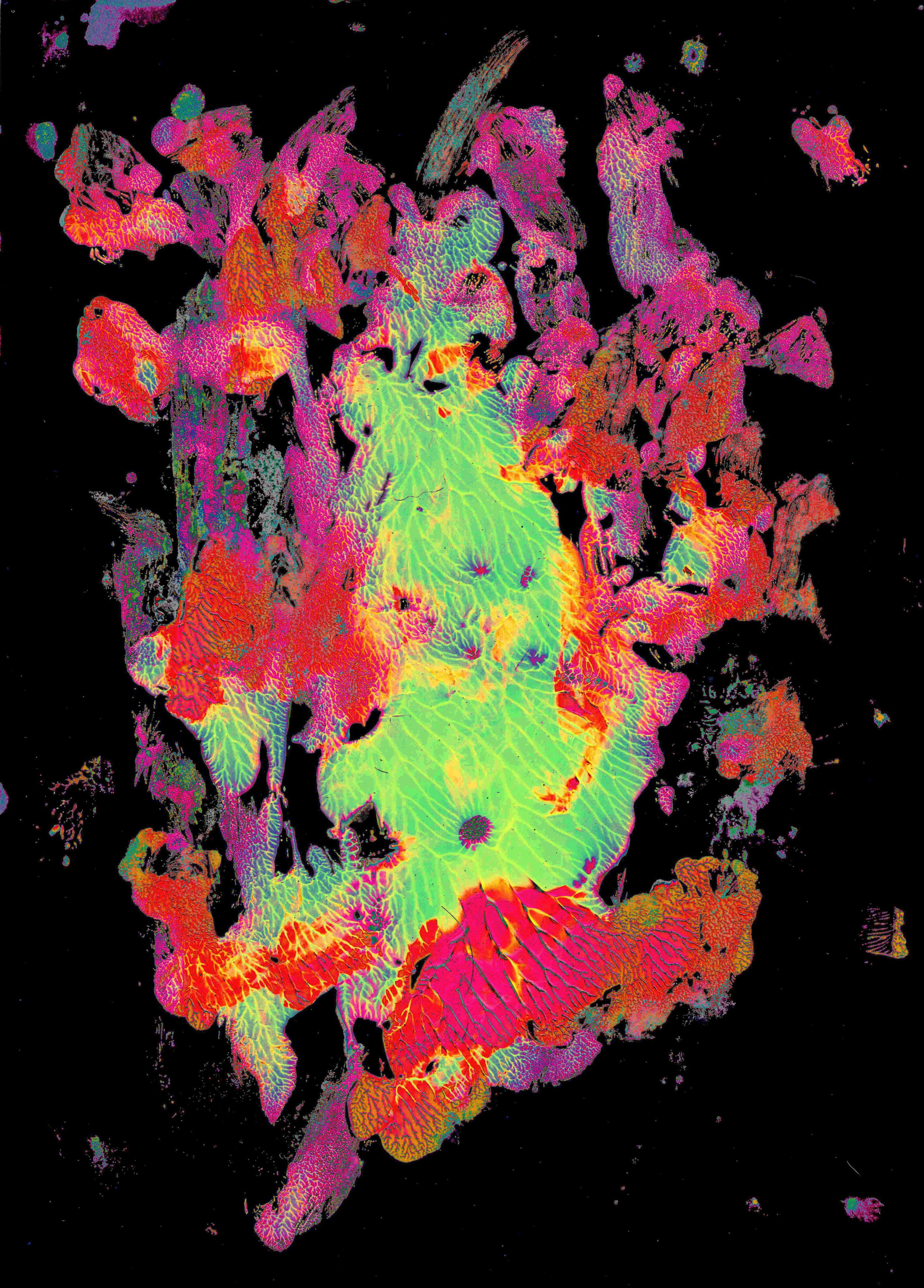 Эндорфин. Катрин Эдельвак