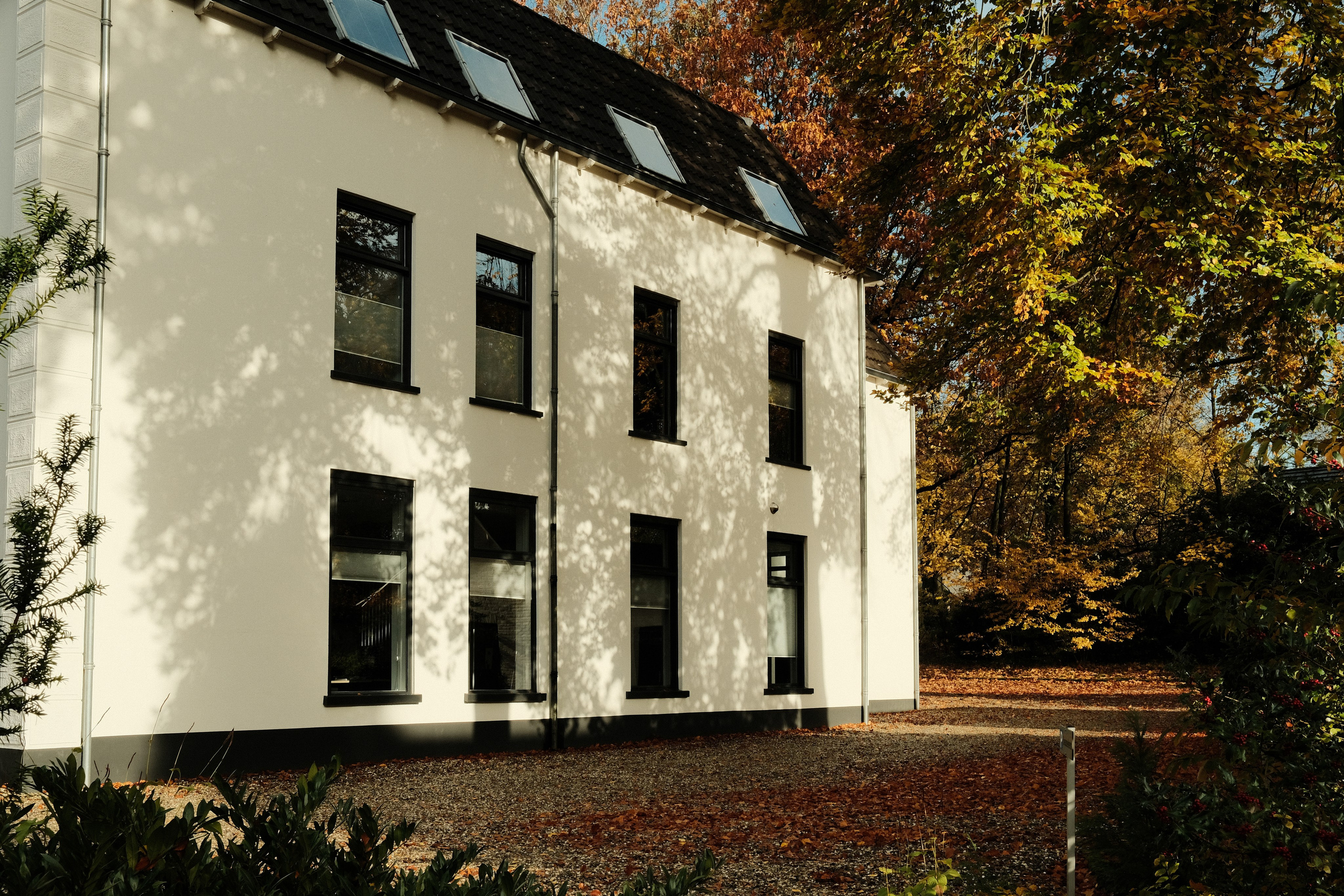 Фотографии Нидерландов | Филипп Линзин. Репортажный и портретный фотограф в Санкт-Петербурге Филипп Линзин